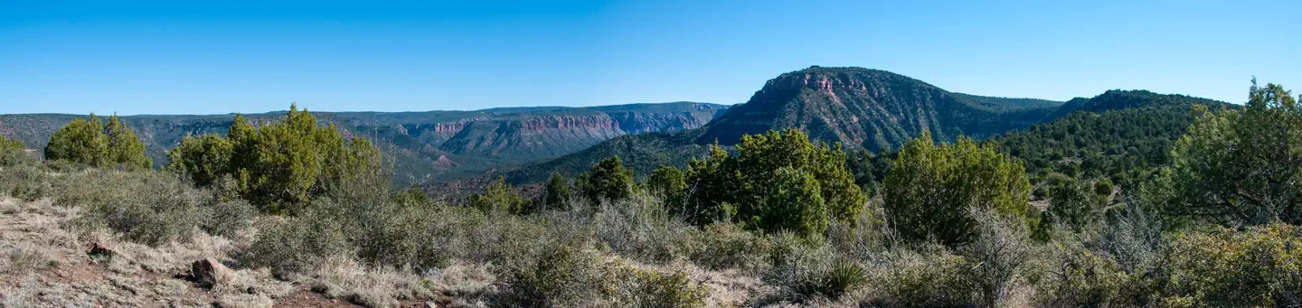 Bob Bear Trail photo