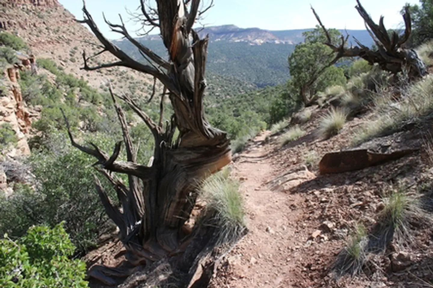Bobcat Trailhead photo