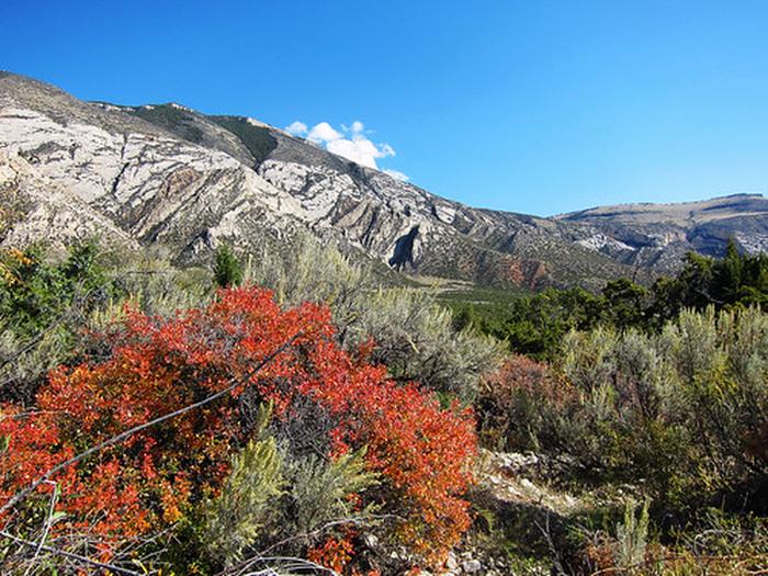 Cottonwood Creek Trailhead photo