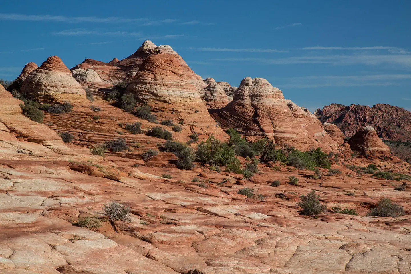 Coyote Buttes North Advanced Lottery (The Wave) photo 3