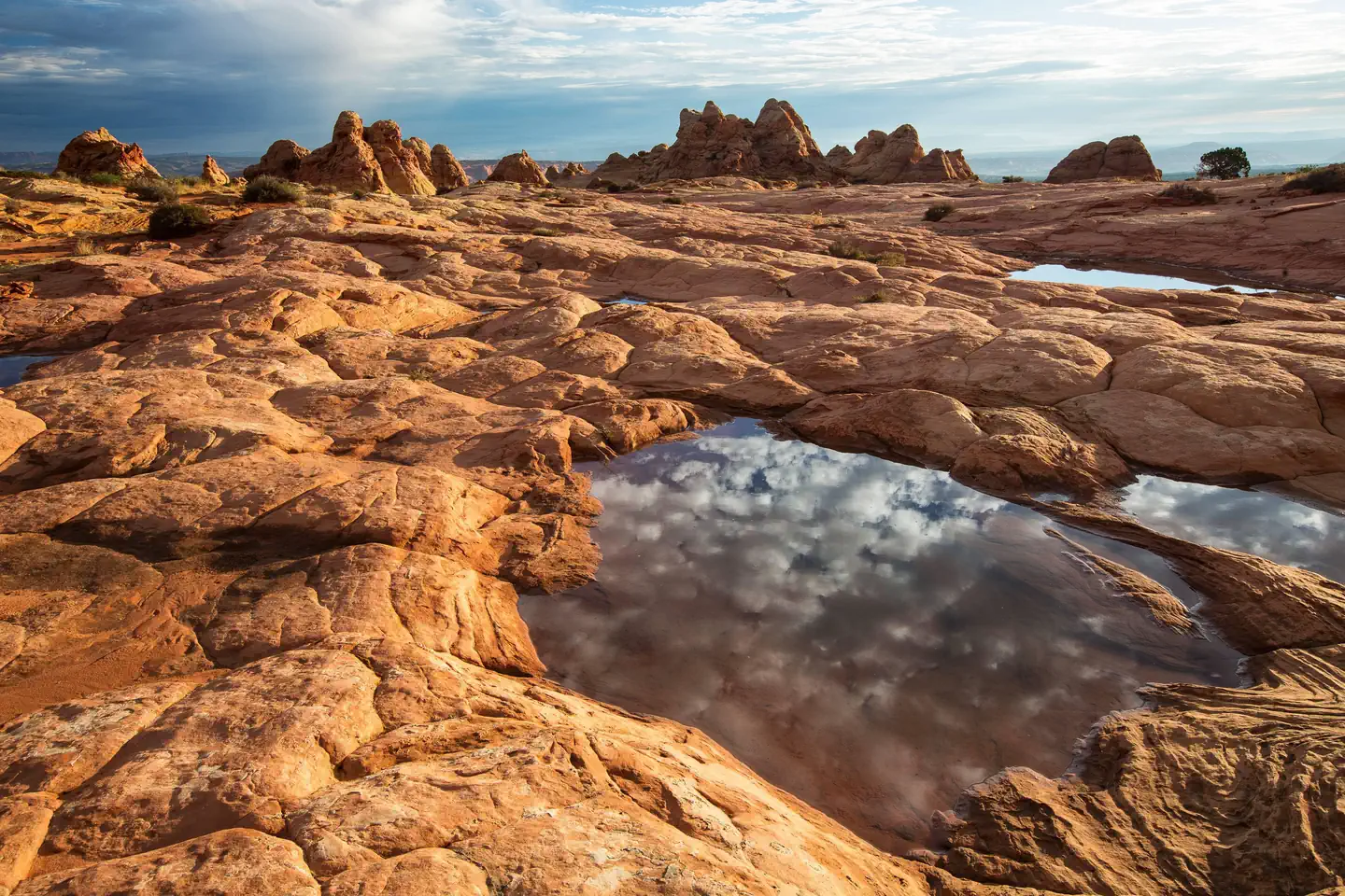 Coyote Buttes North Advanced Lottery (The Wave) photo 4