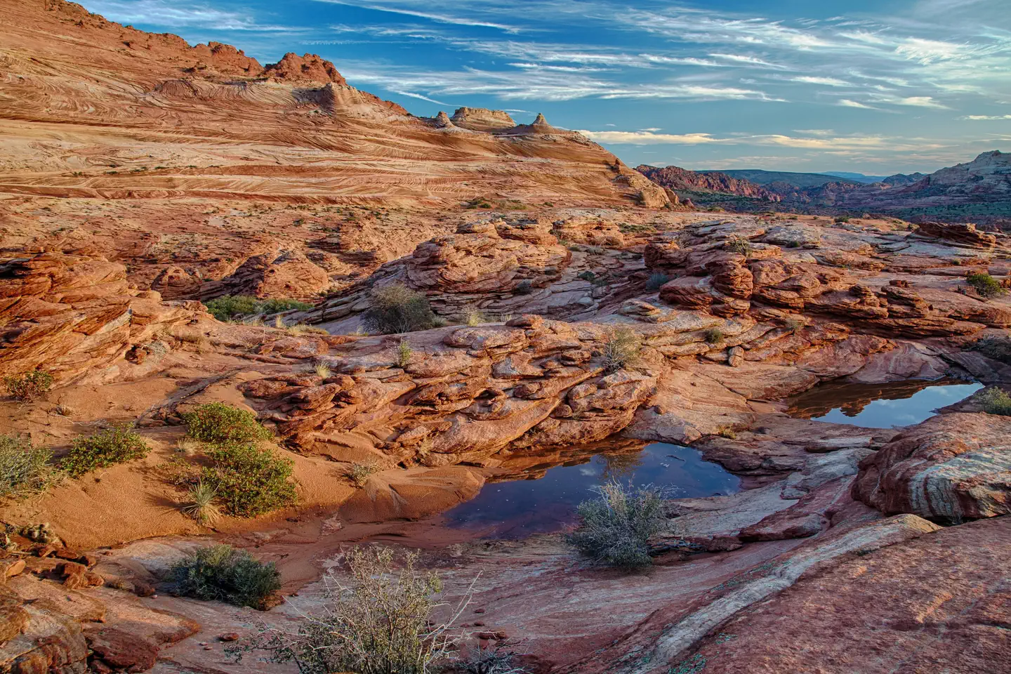 Coyote Buttes North Advanced Lottery (The Wave) photo 5