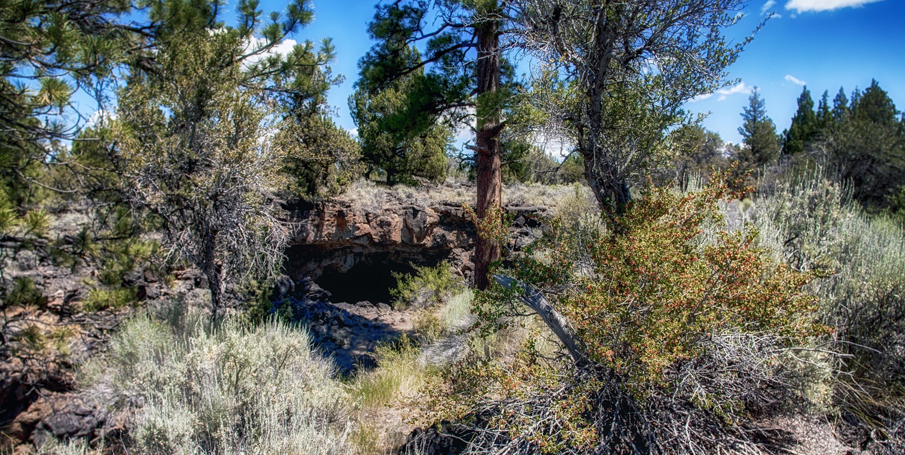 Derrick Cave photo 2