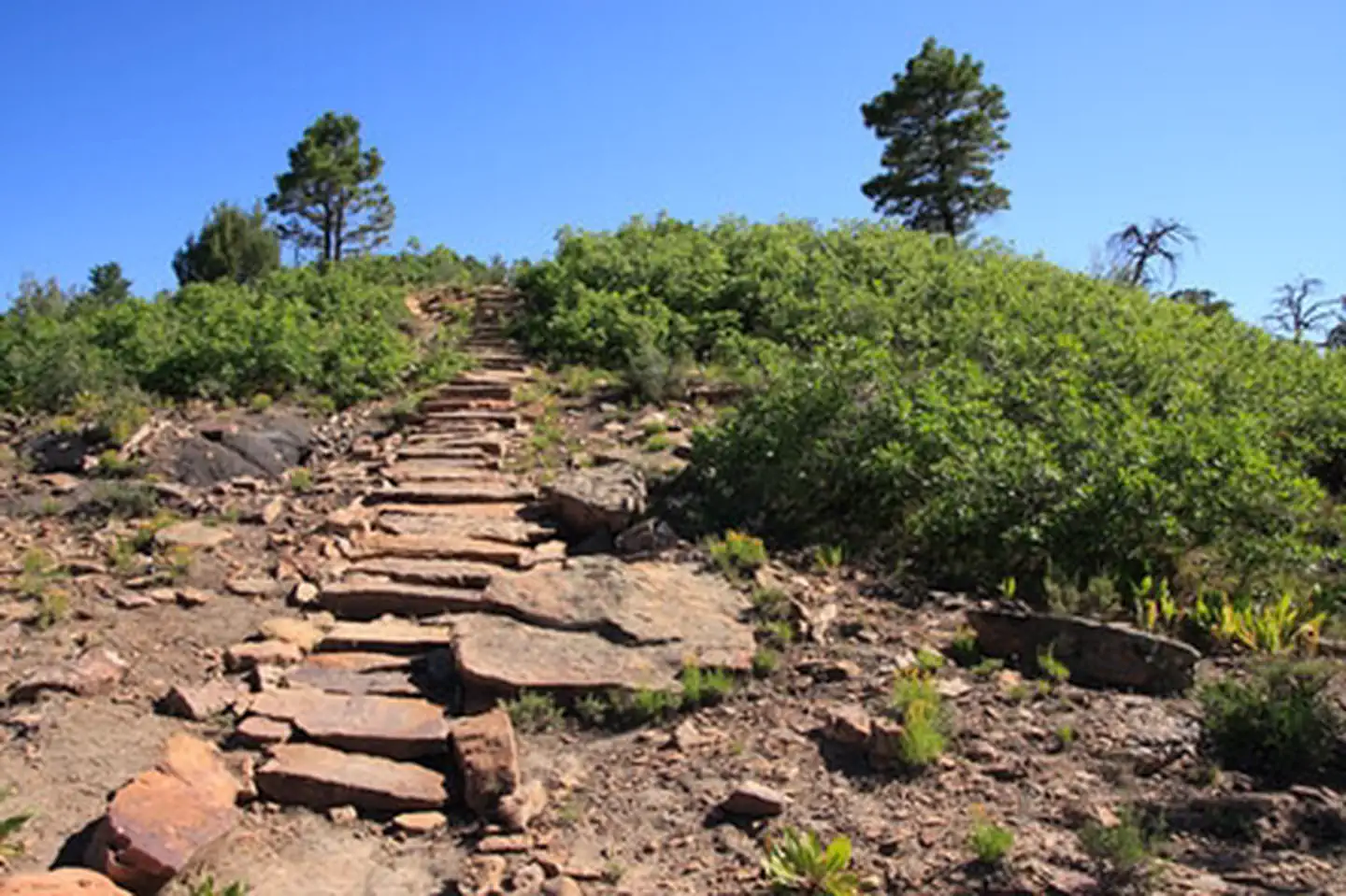 Dolores River Overlook photo