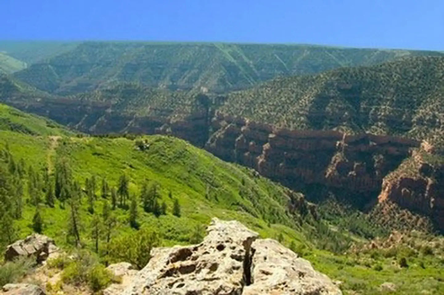 Dolores River Overlook photo 2