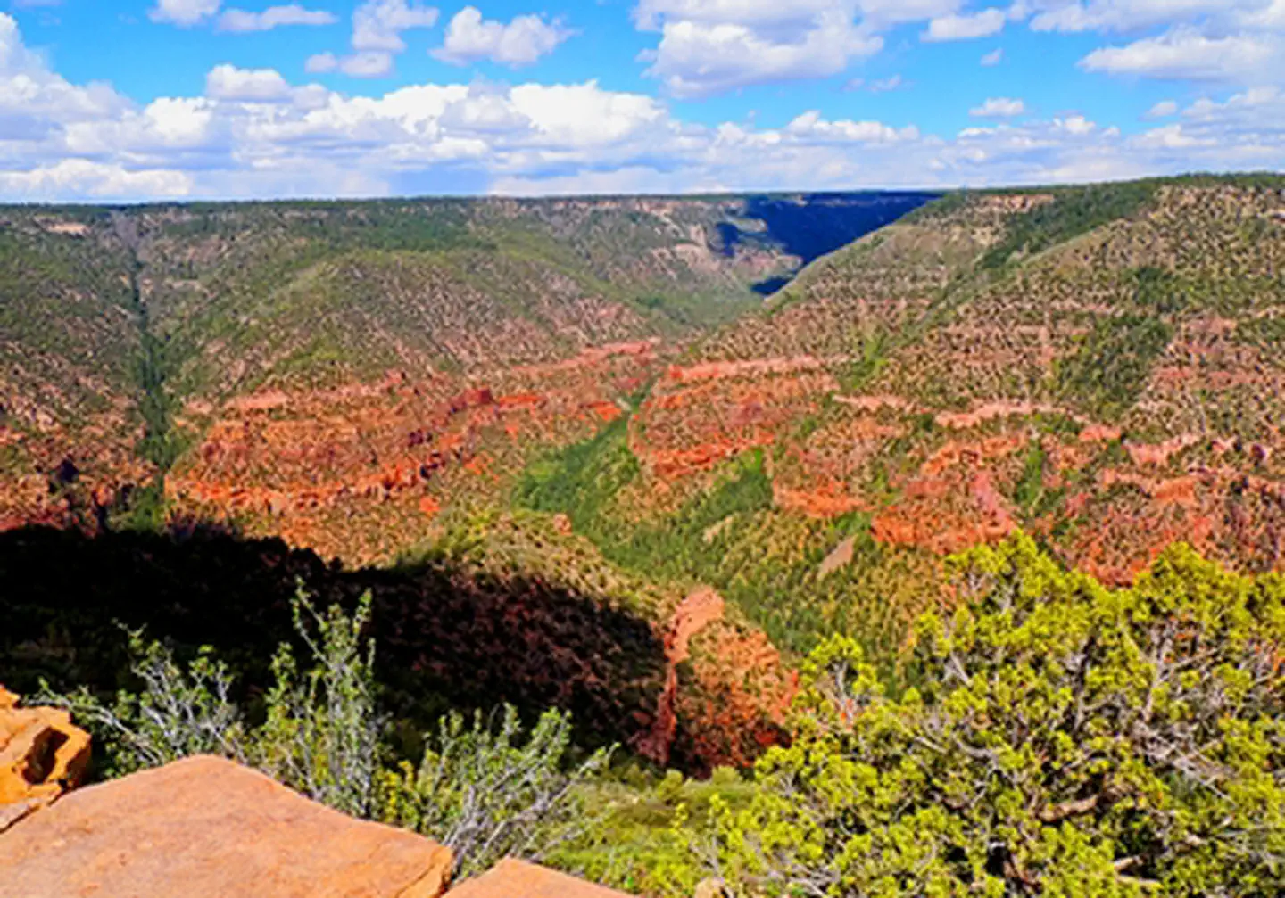 Dolores River Overlook photo 3