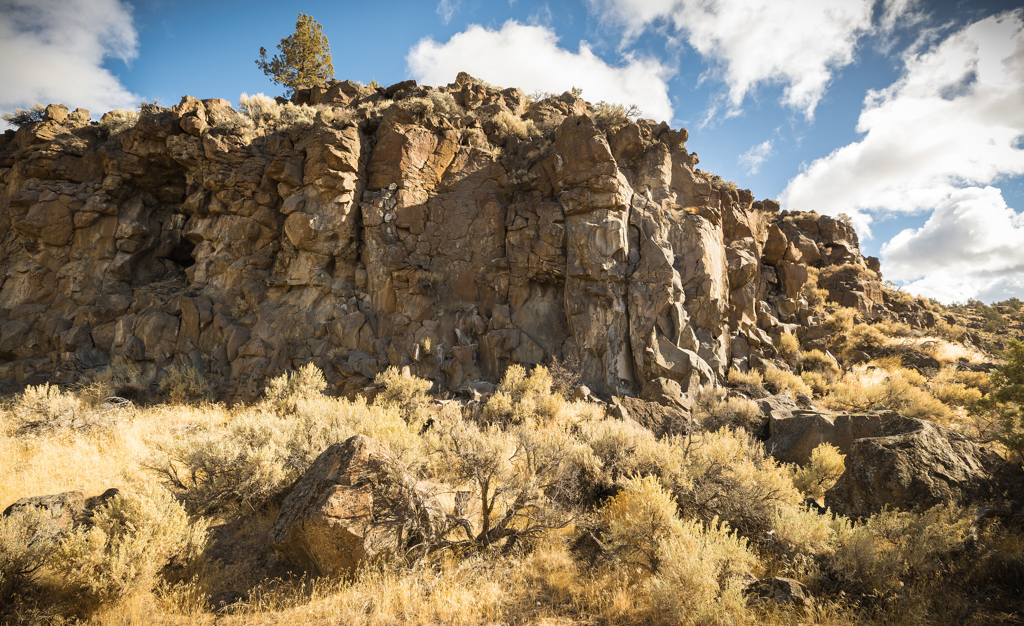 Dry River Canyon Trail photo