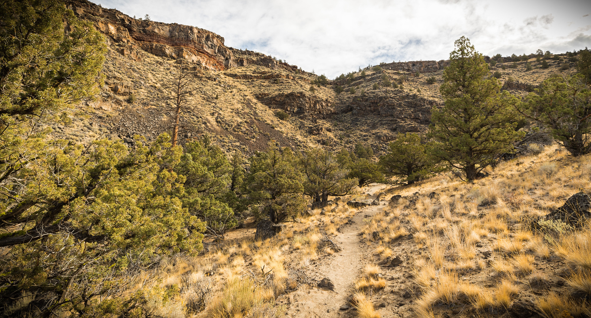 Dry River Canyon Trail photo 3