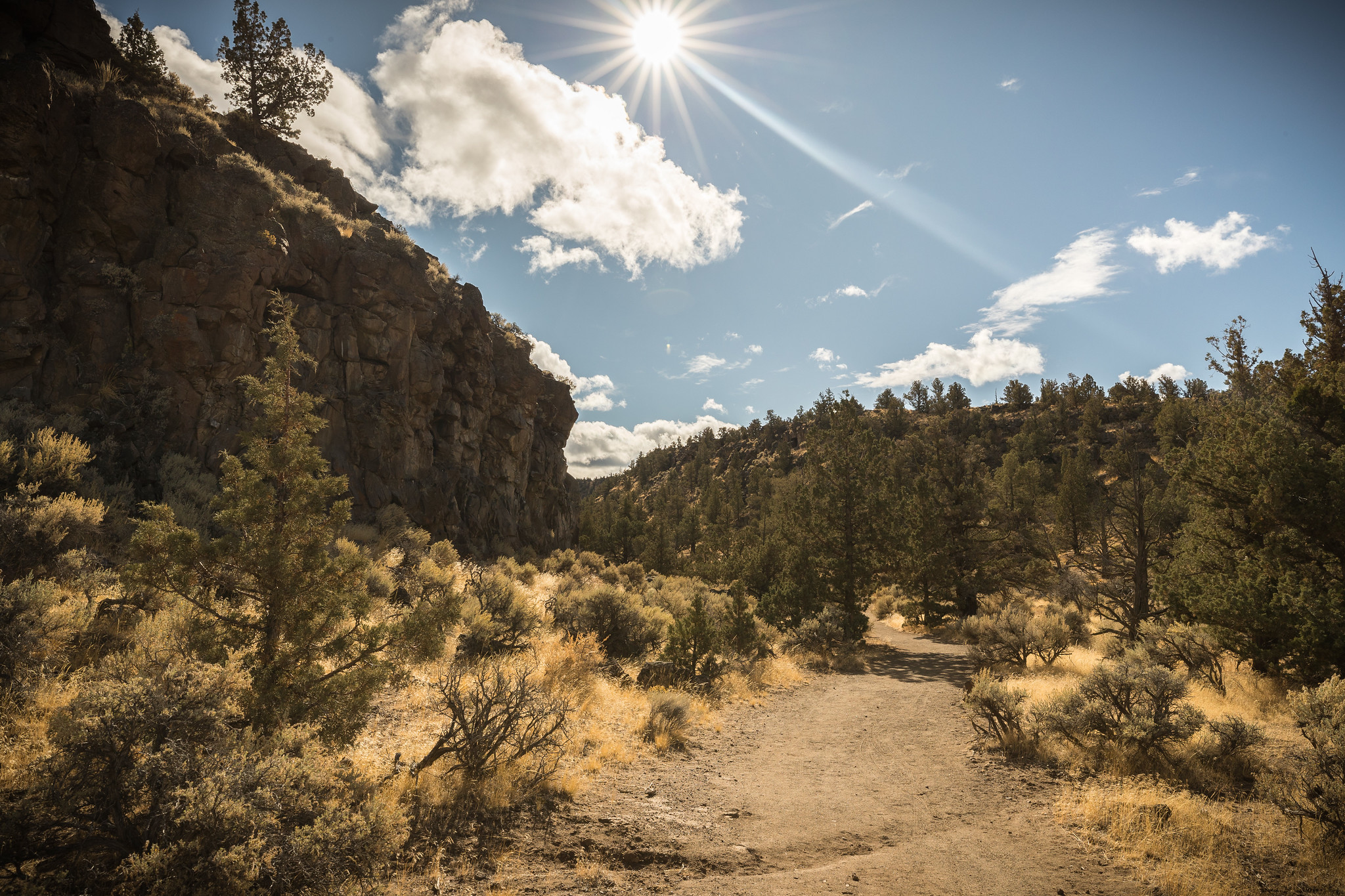 Dry River Canyon Trail photo 4