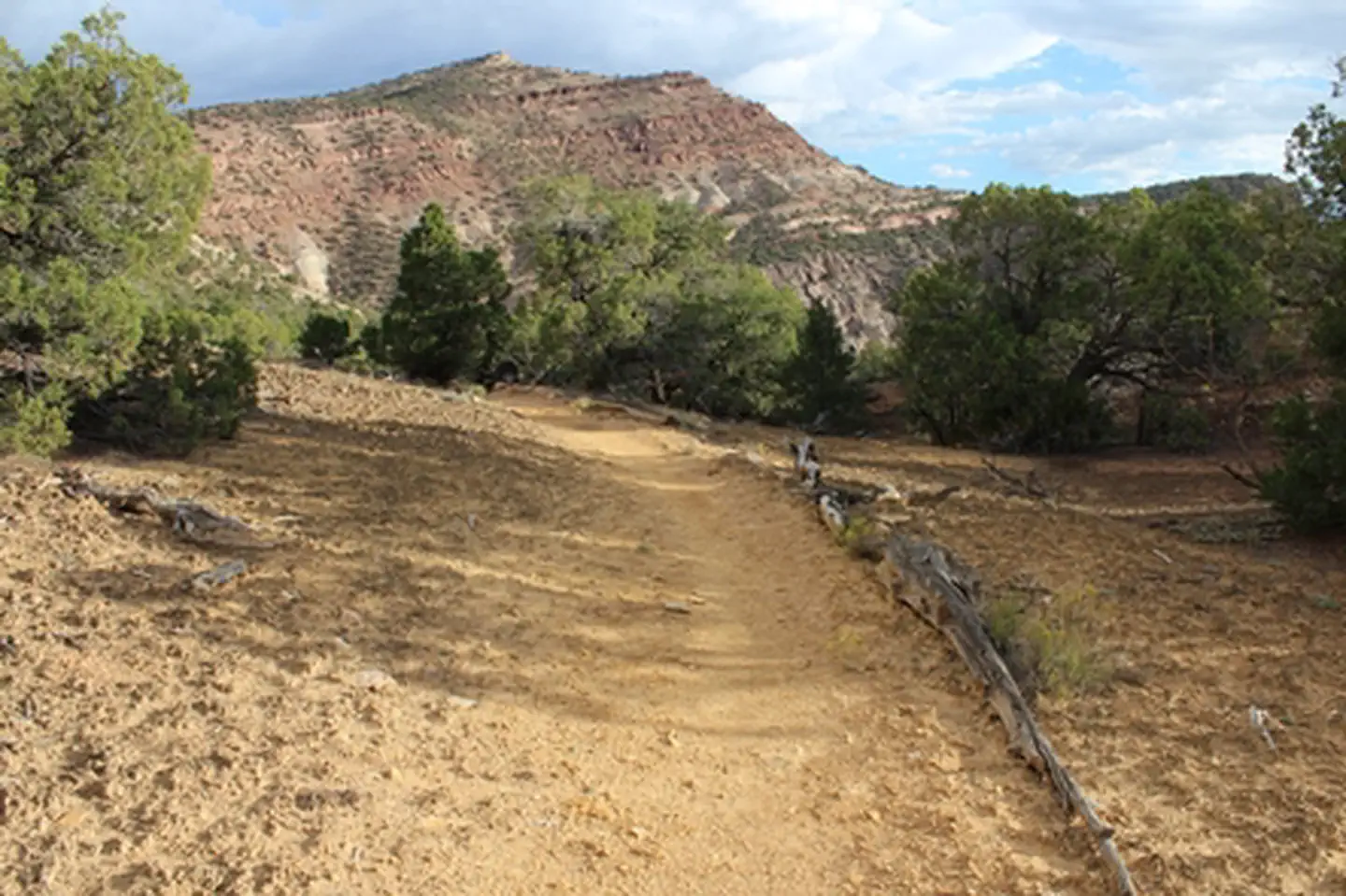 Duncan Trailhead photo 3