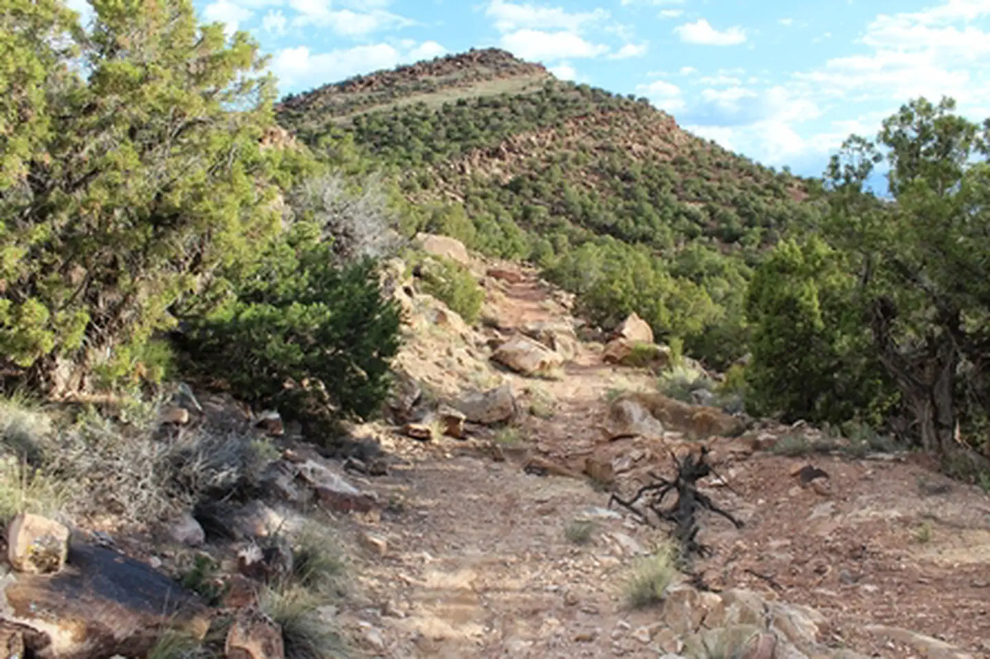 Duncan Trailhead photo 4