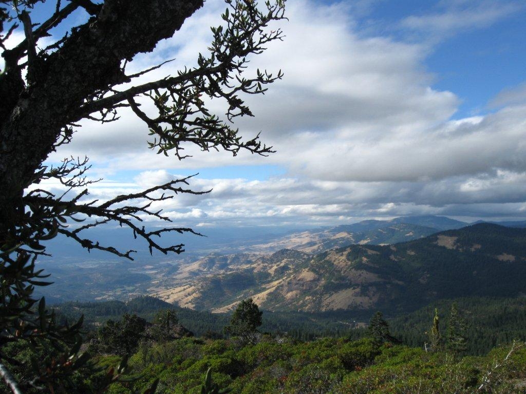 Grizzly Peak Trail photo