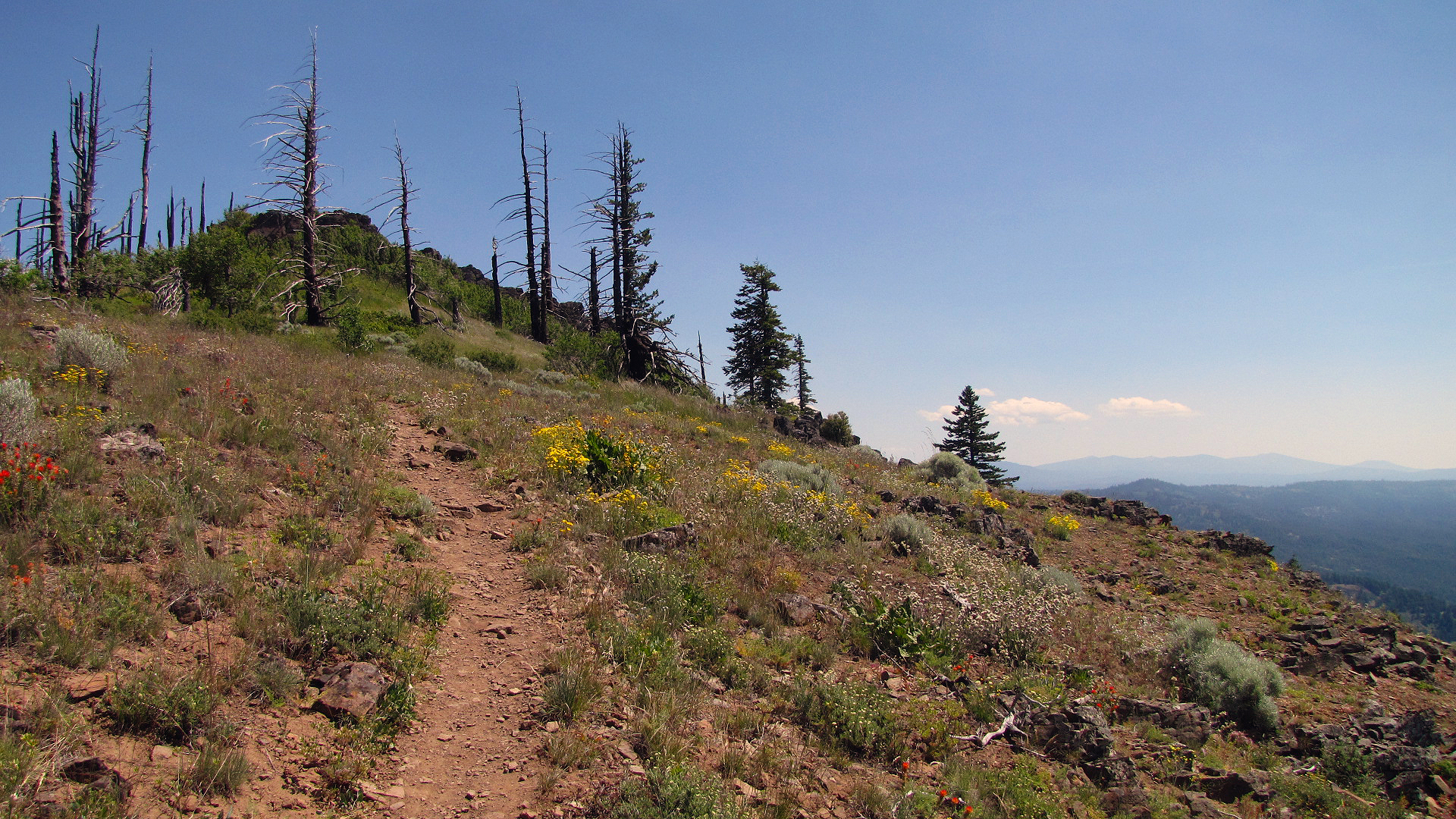 Grizzly Peak Trail photo 2