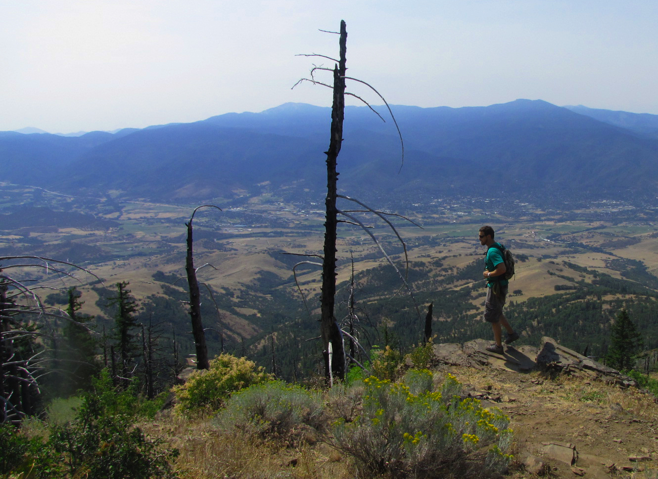 Grizzly Peak Trail photo 3