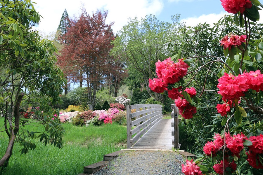 Hinsdale Garden photo 2