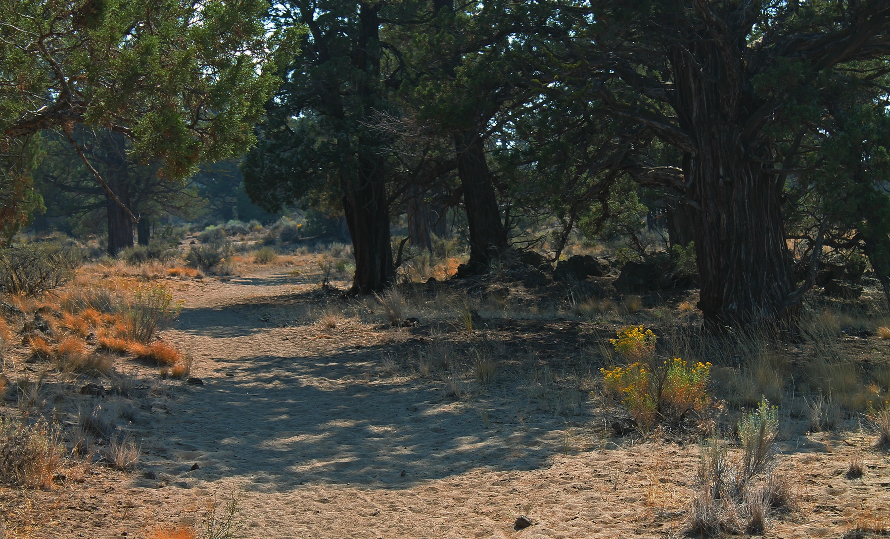 Huntington Wagon Road photo