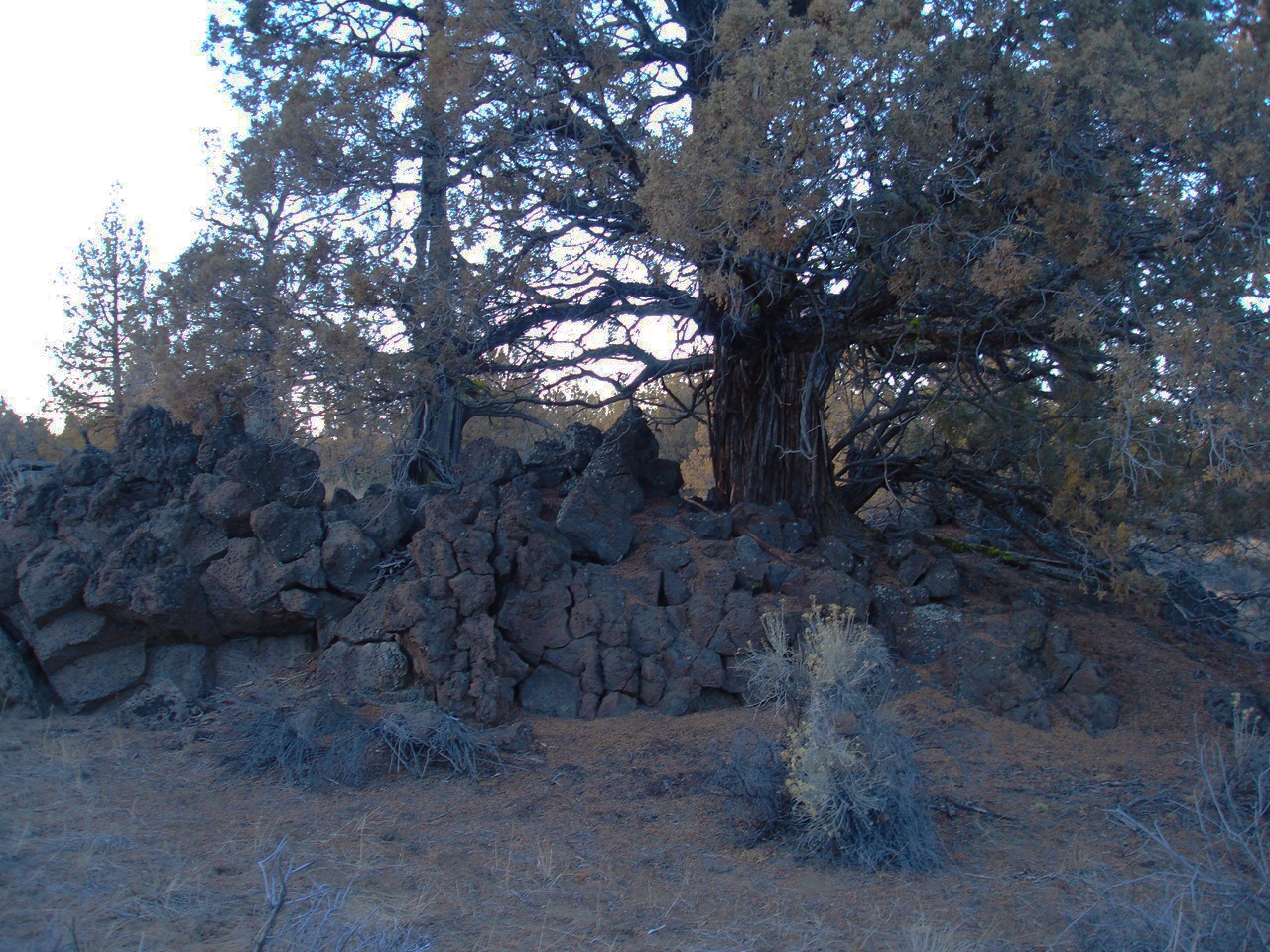Huntington Wagon Road photo 2