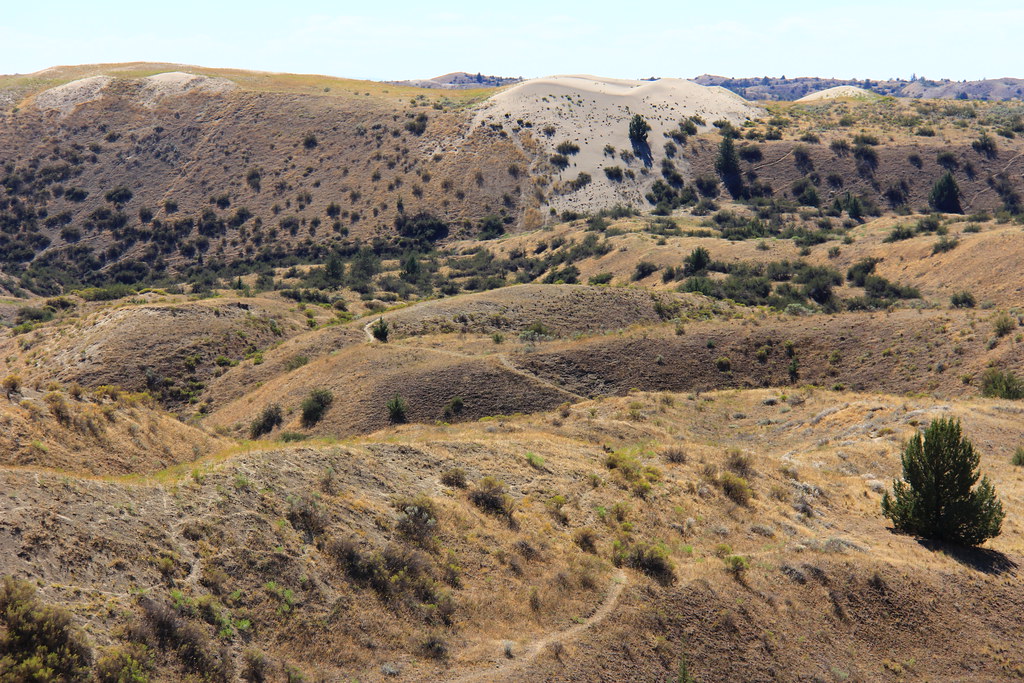 Juniper Dunes Wilderness photo