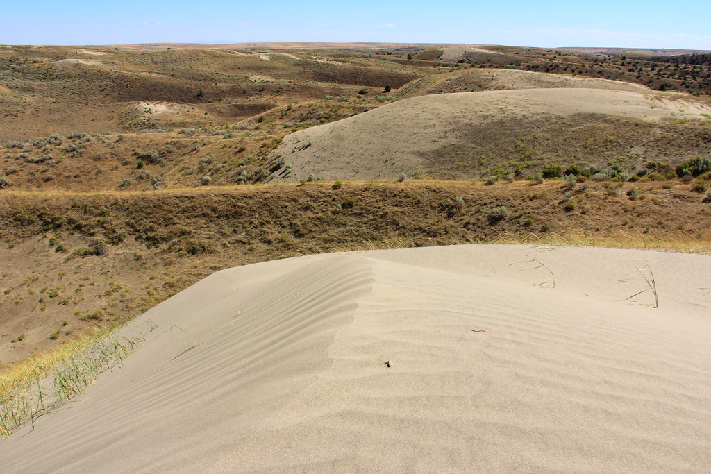 Juniper Dunes Wilderness photo 3