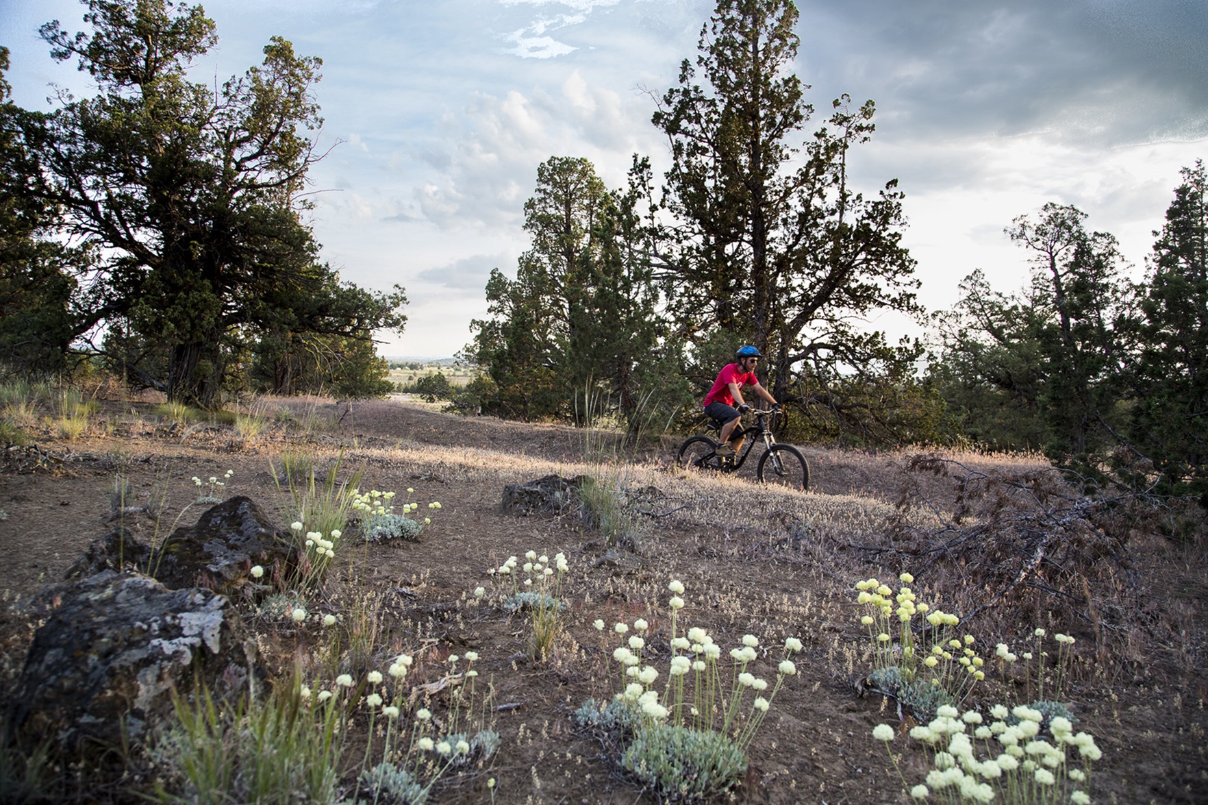 Maston Trail System photo