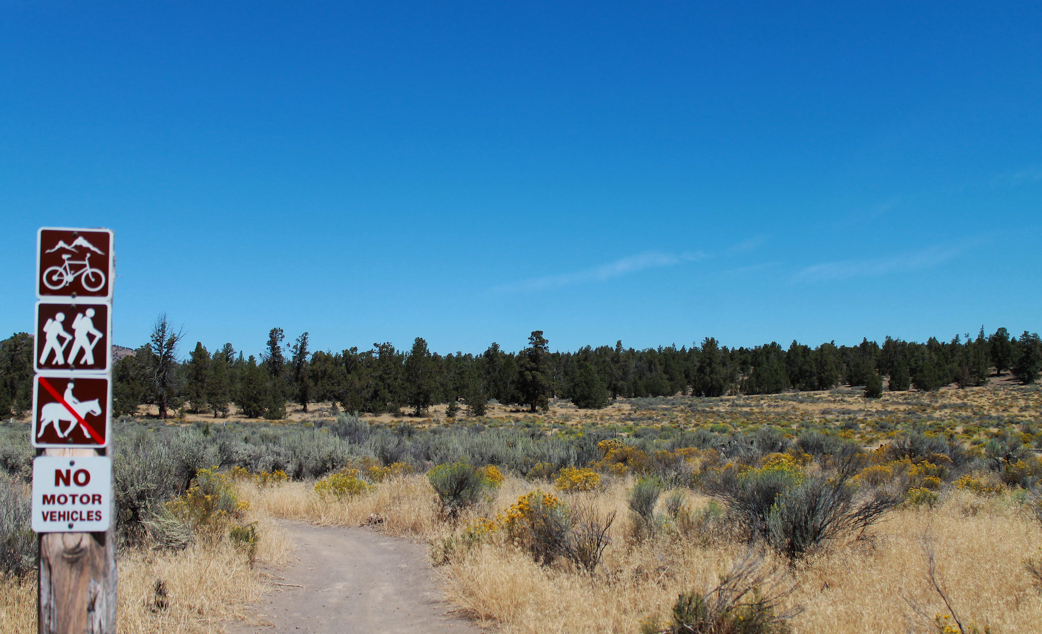 Maston Trail System photo 2