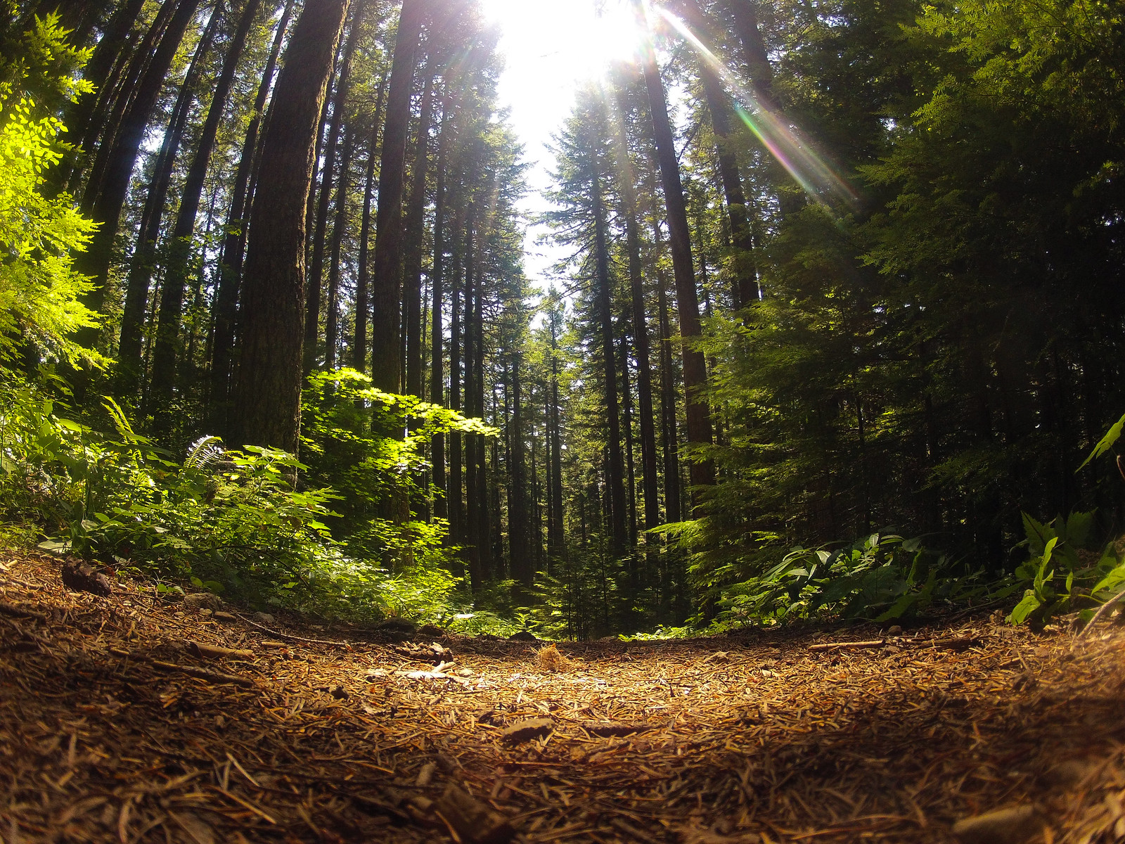 Pechuck Lookout photo 2