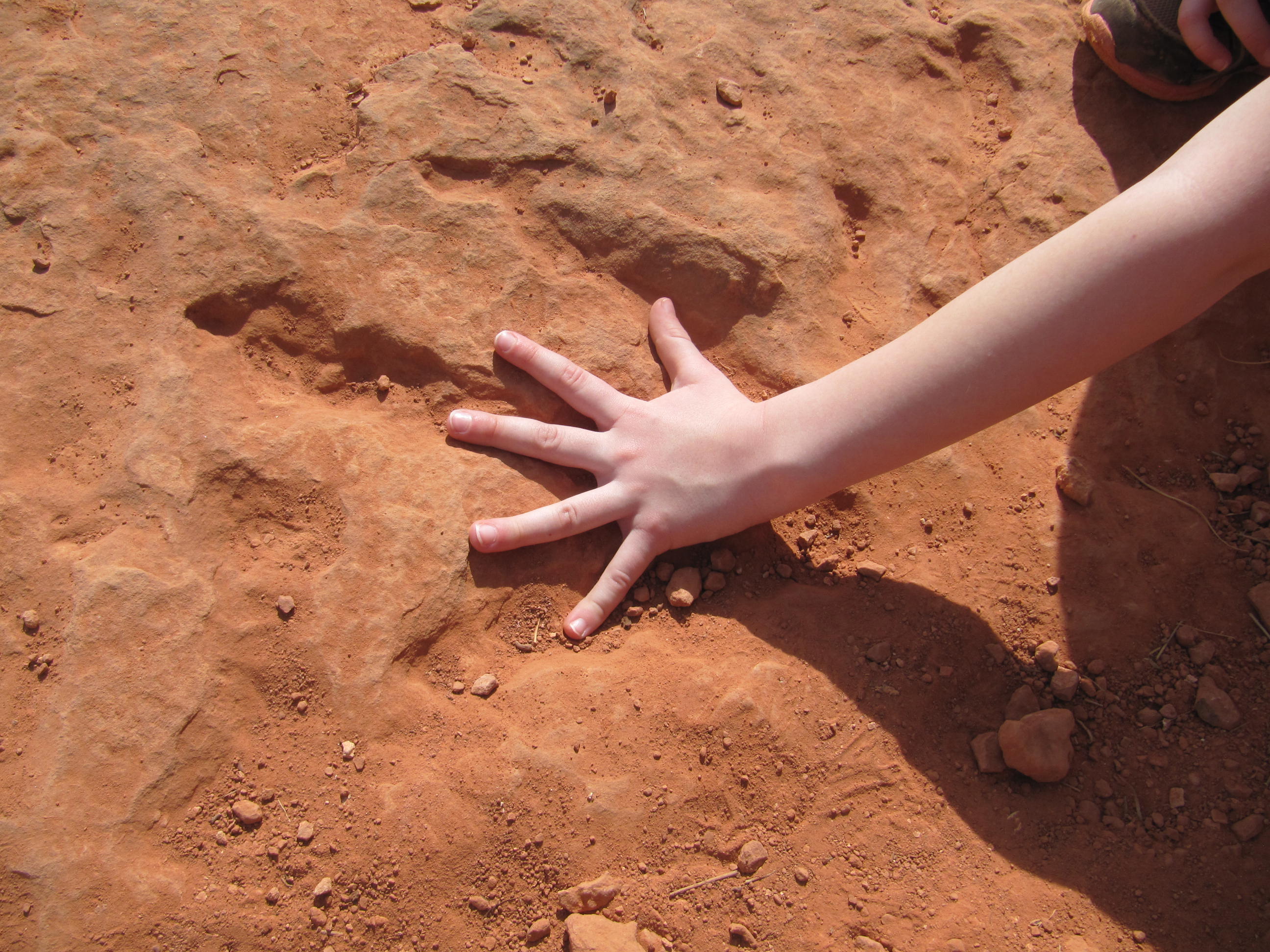 Silver Reef Trail and Red Cliffs Dinosaur Tracksite photo
