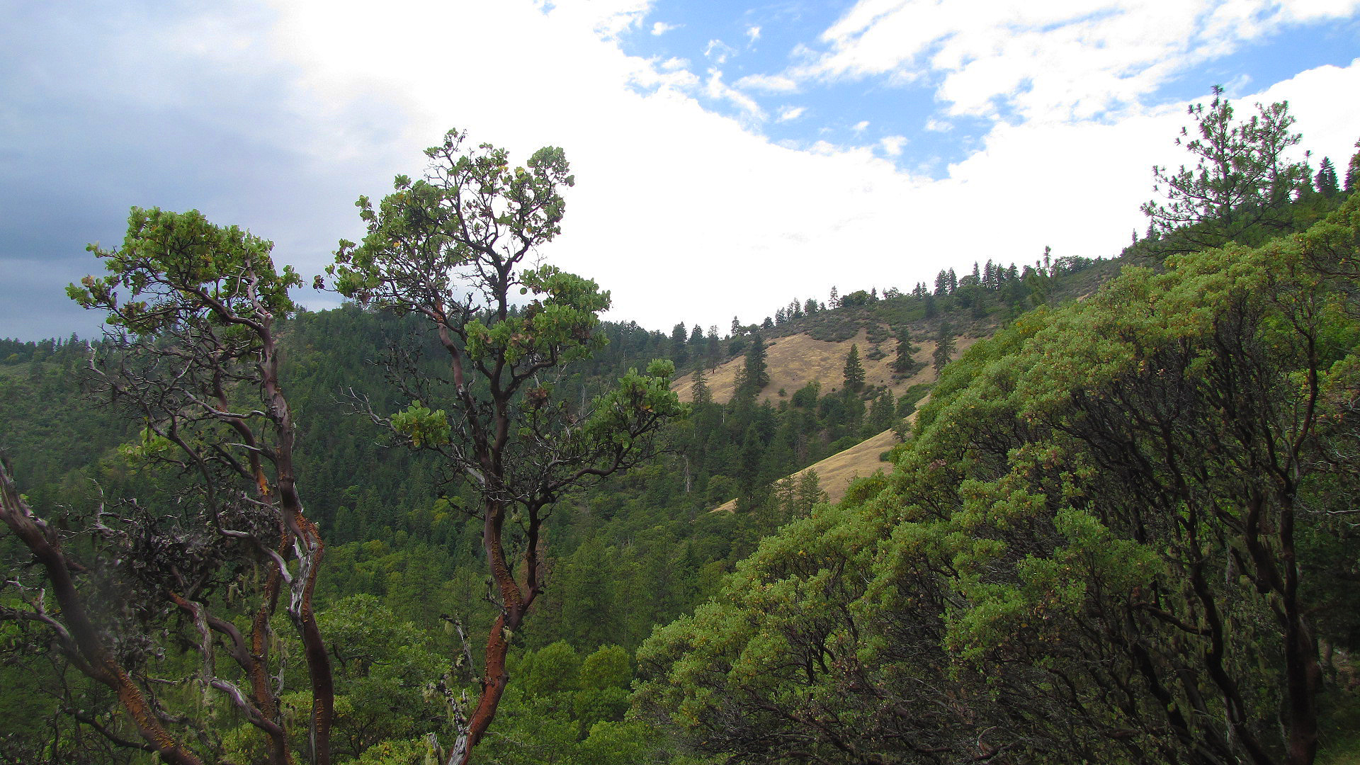 Sterling Mine Ditch Trail/ACEC photo
