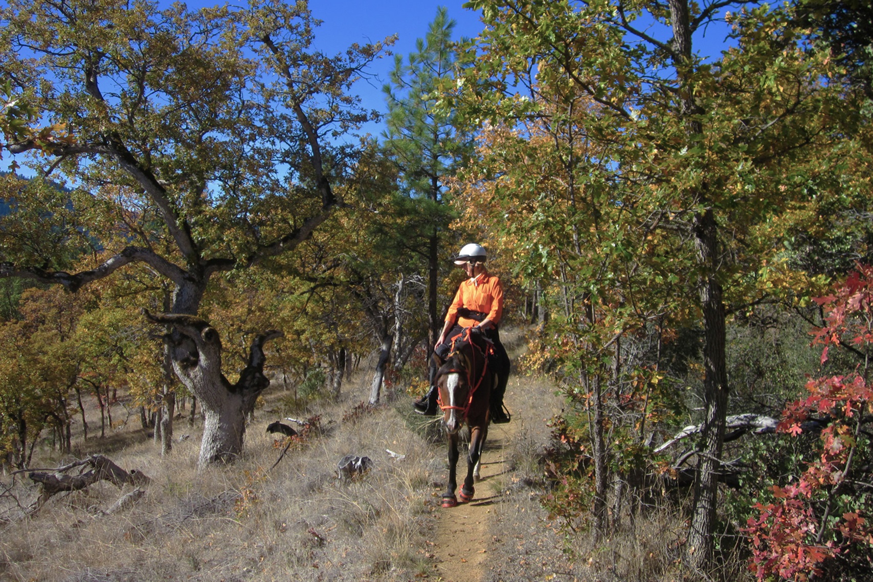 Sterling Mine Ditch Trail/ACEC photo 2