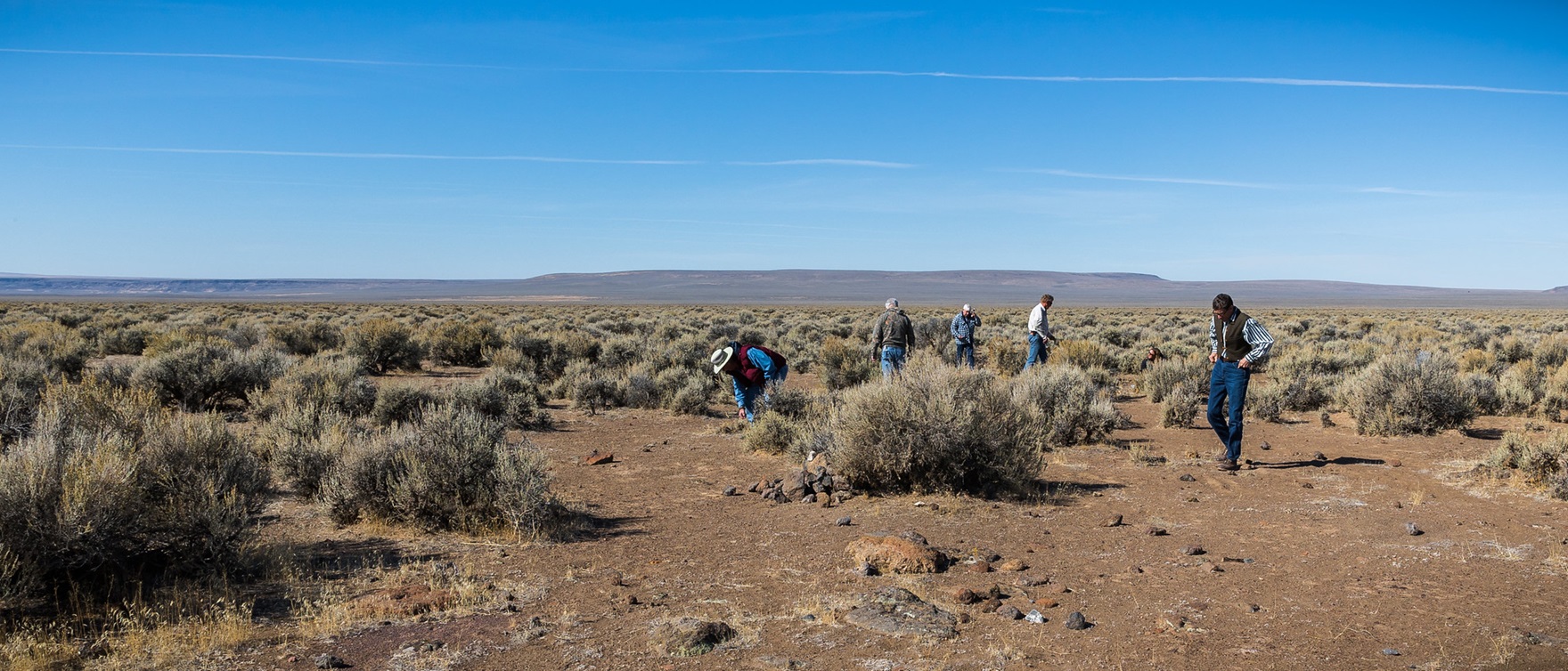 Sunstone Collection Area photo