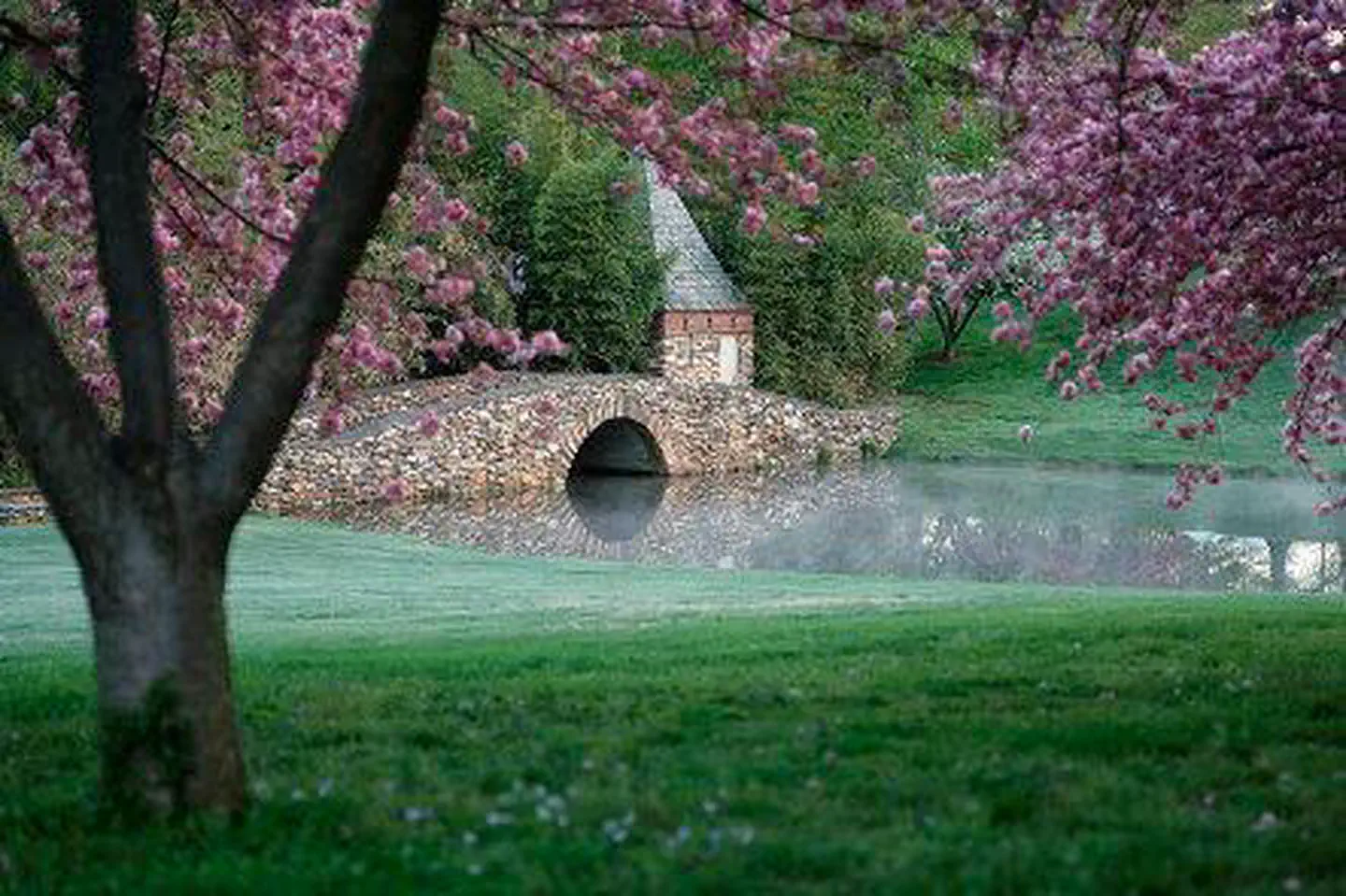 The Graylyn Estate photo 5