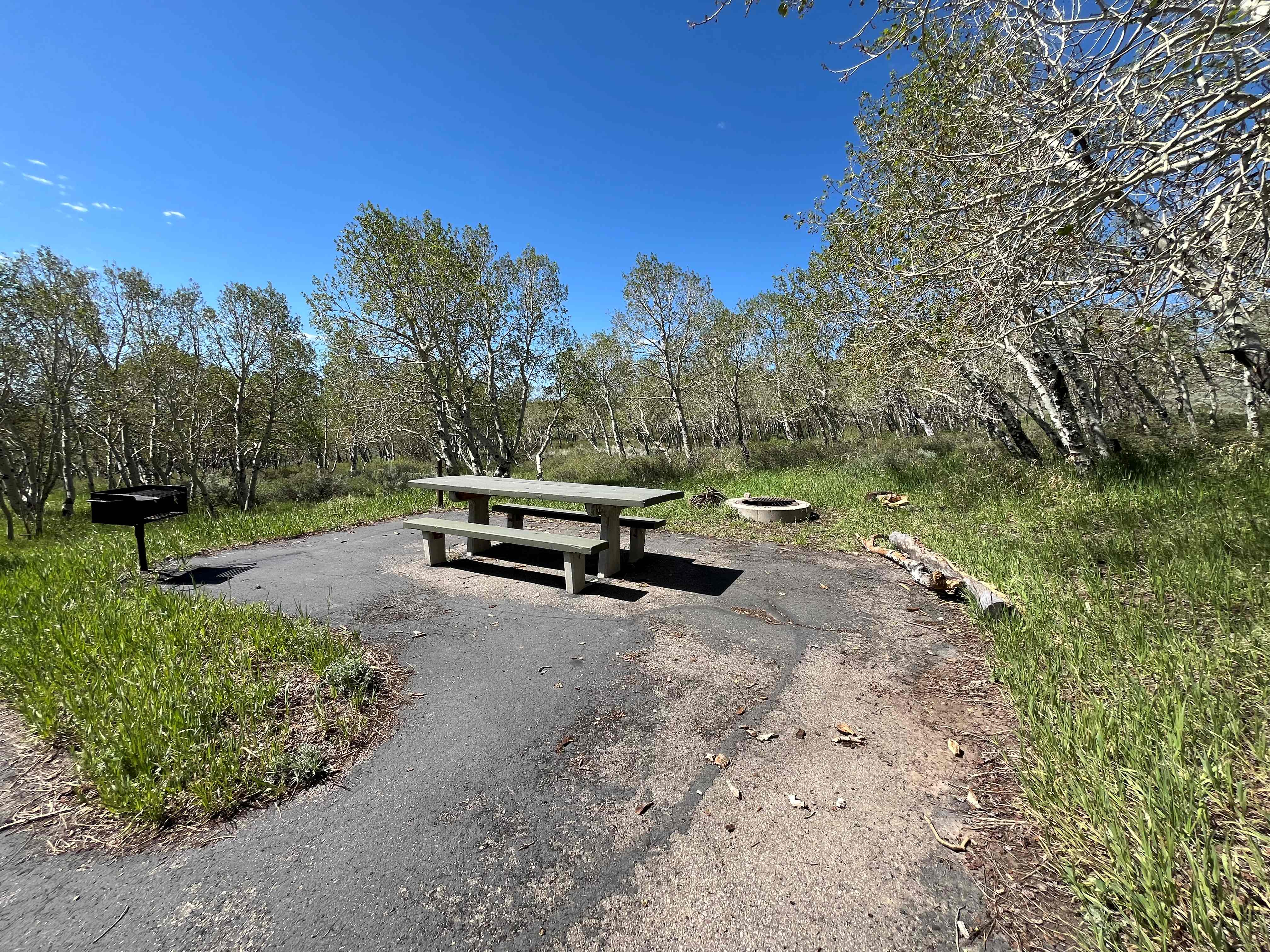 Three Patches Picnic Area photo
