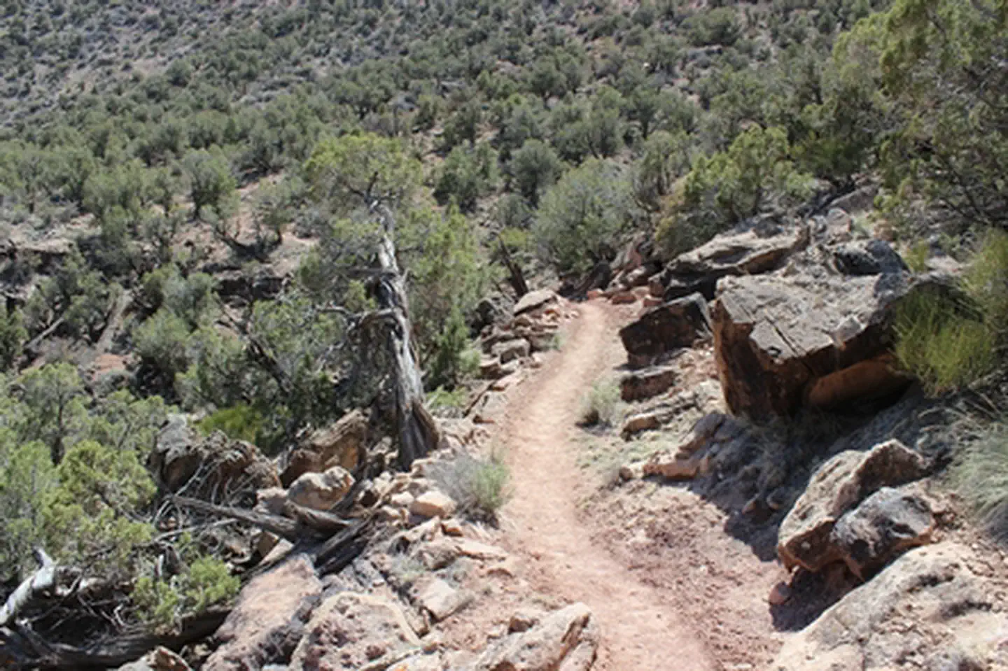 Ute Trailhead- Gunnison Gorge photo