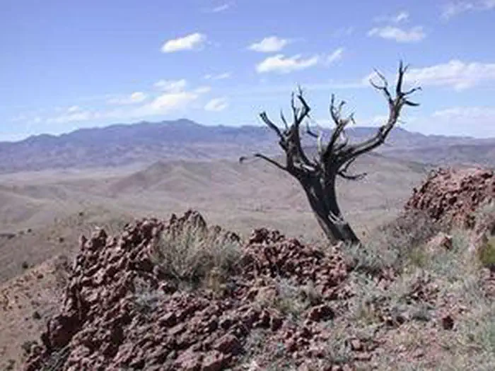 Bosque del Apache Wilderness photo