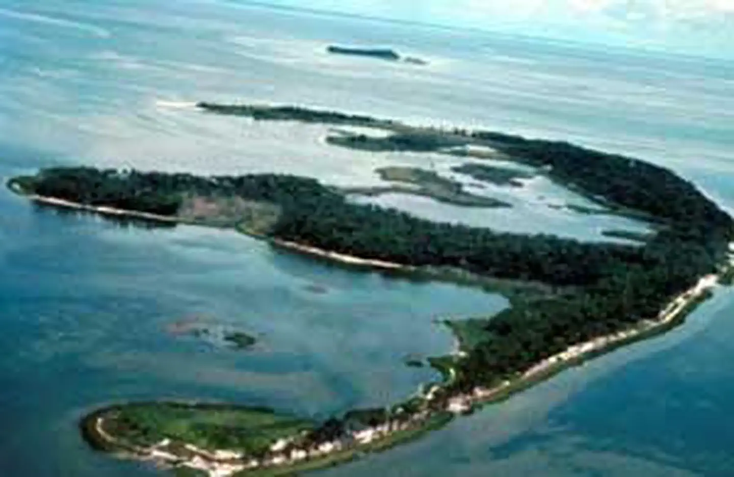 Cedar Keys Wilderness photo