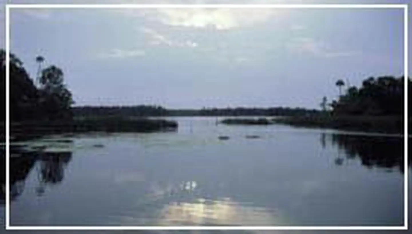 Chassahowitzka Wilderness photo