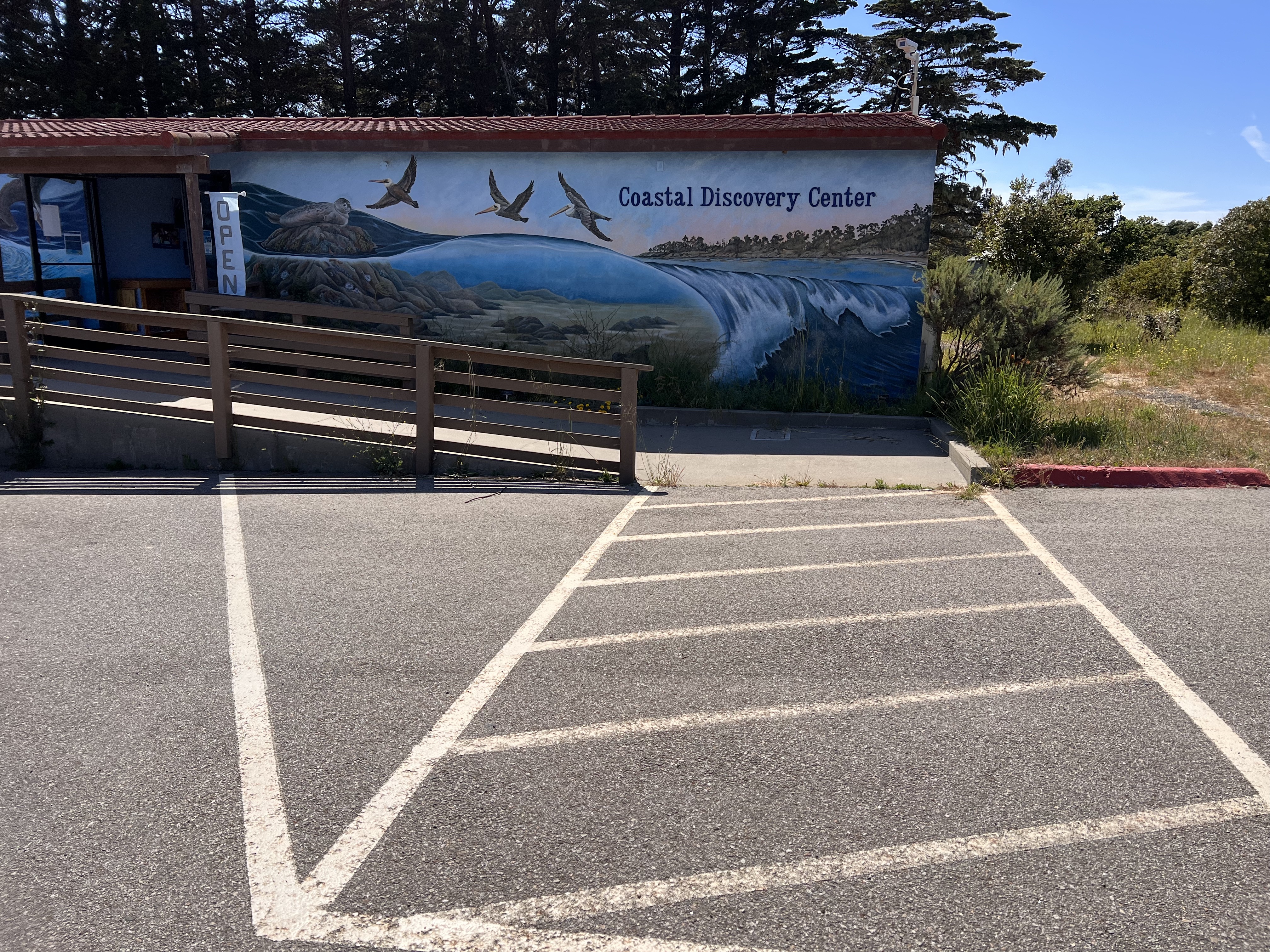 Coastal Discovery Center photo