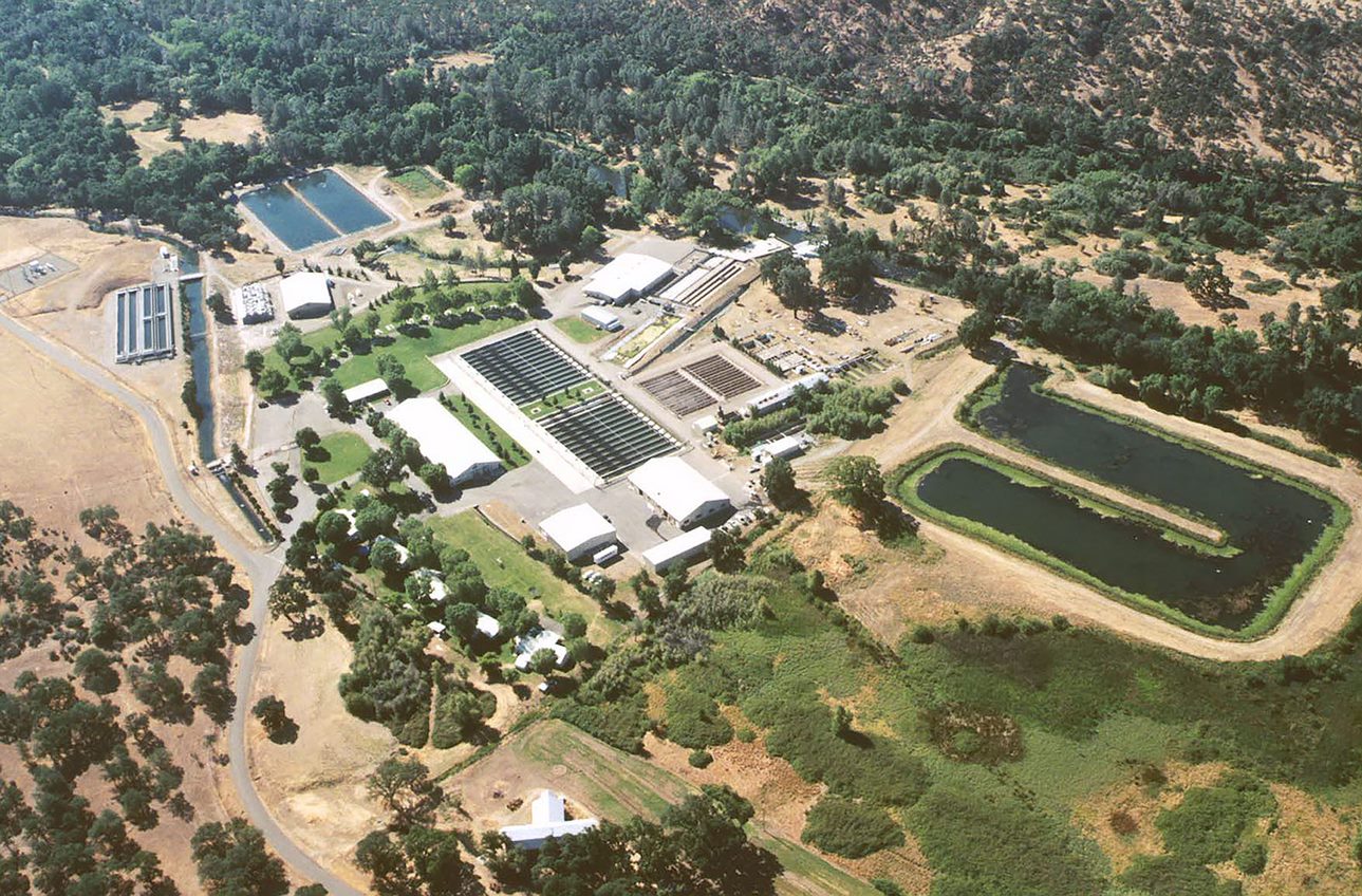 Coleman National Fish Hatchery photo