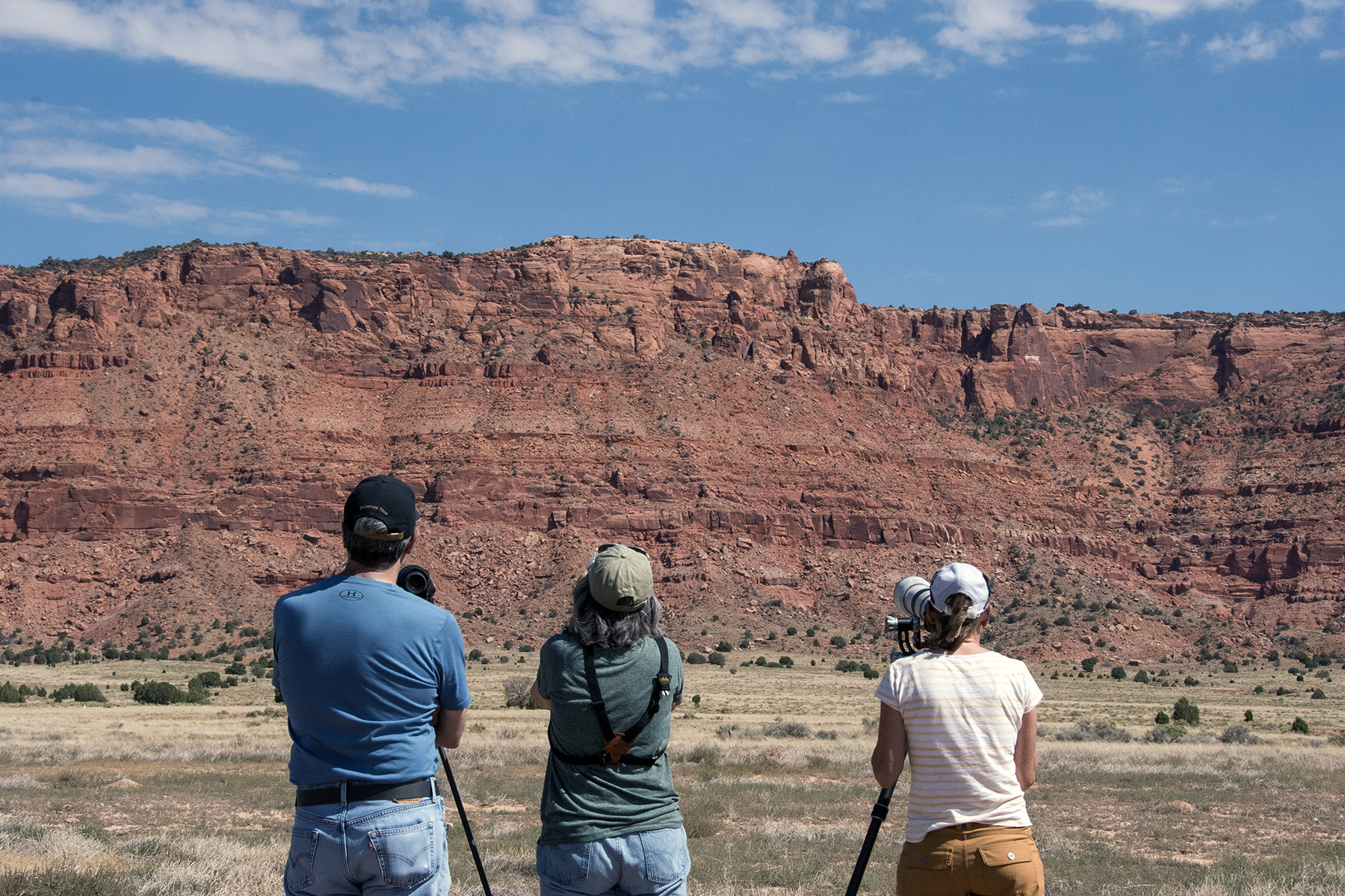 Condor Viewing Site photo