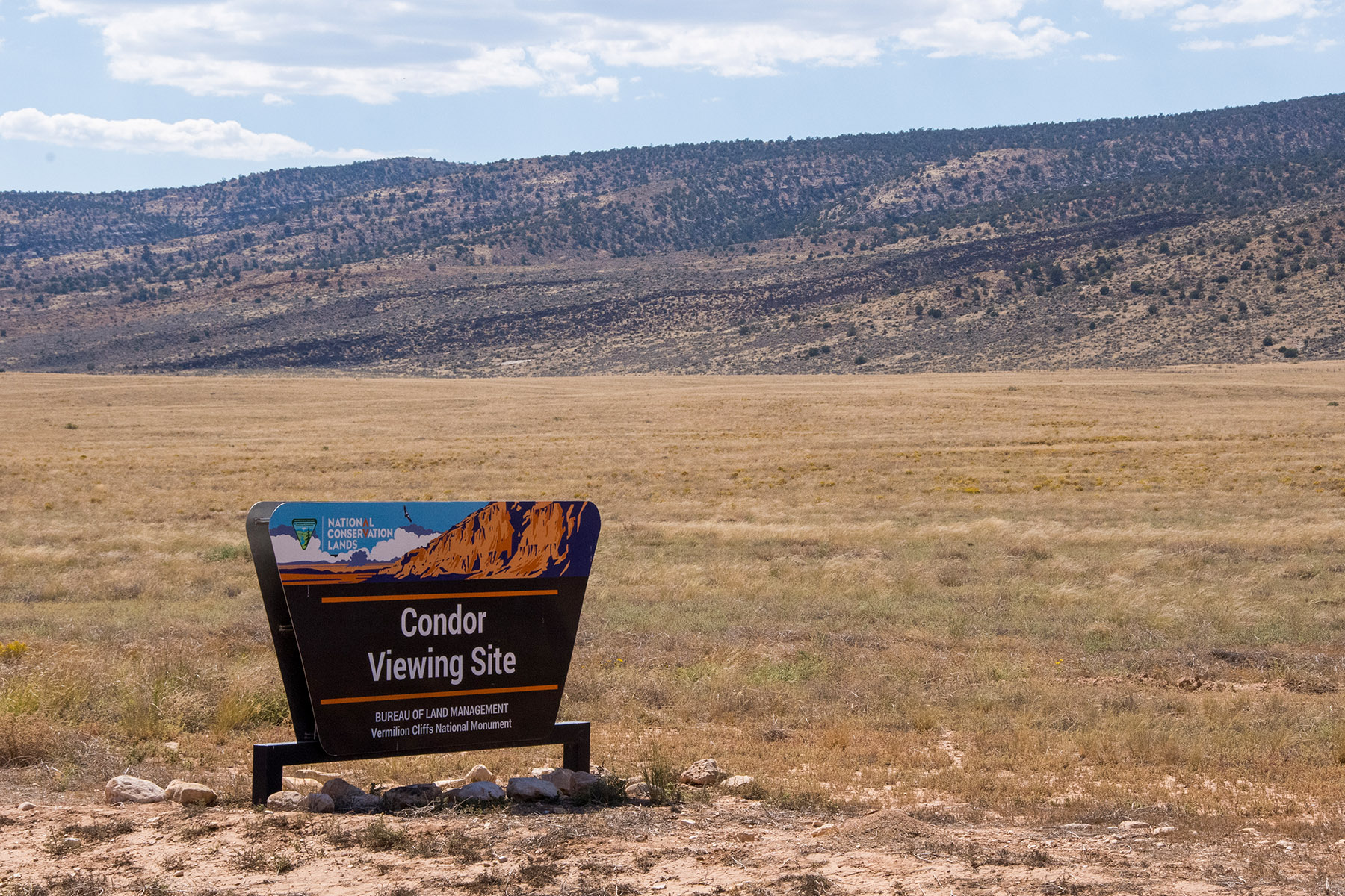 Condor Viewing Site photo 3