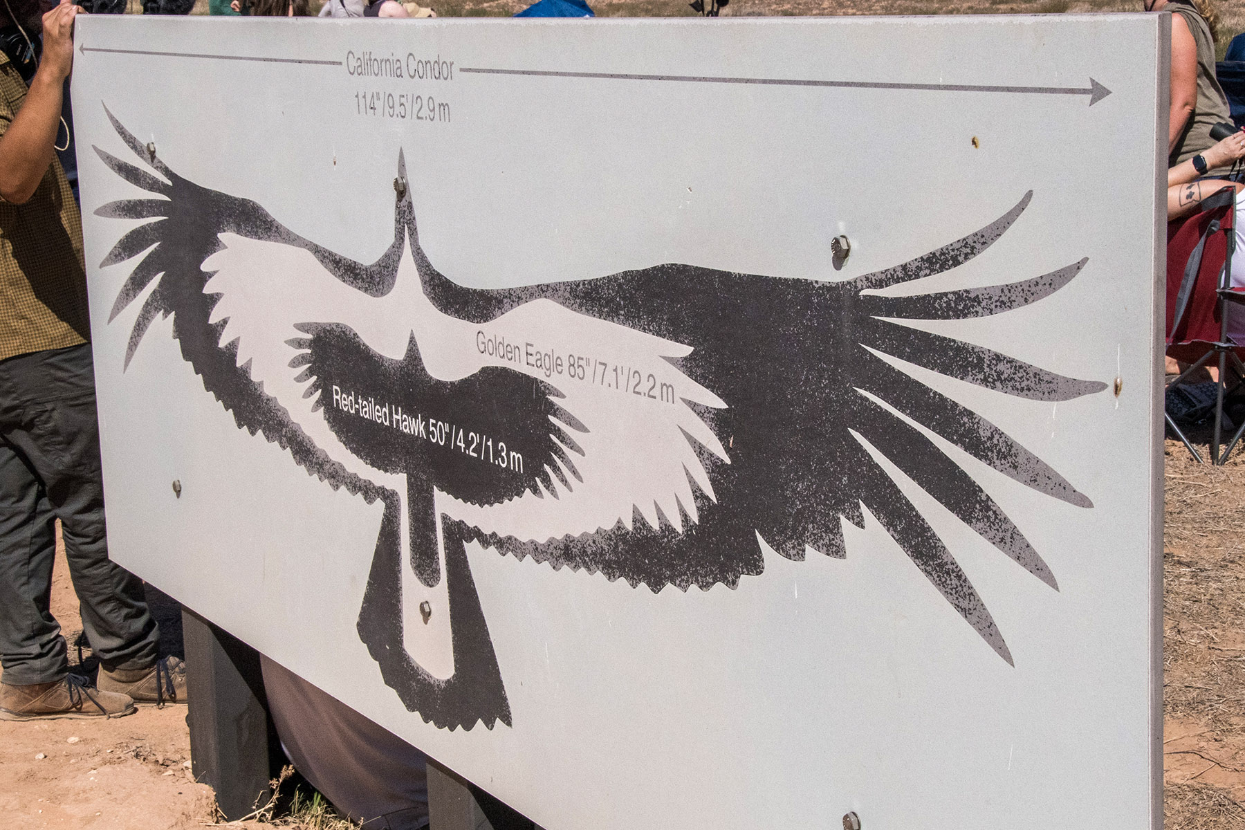 Condor Viewing Site photo 4