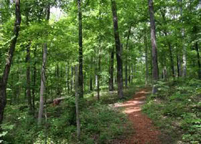 Crab Orchard Wilderness photo