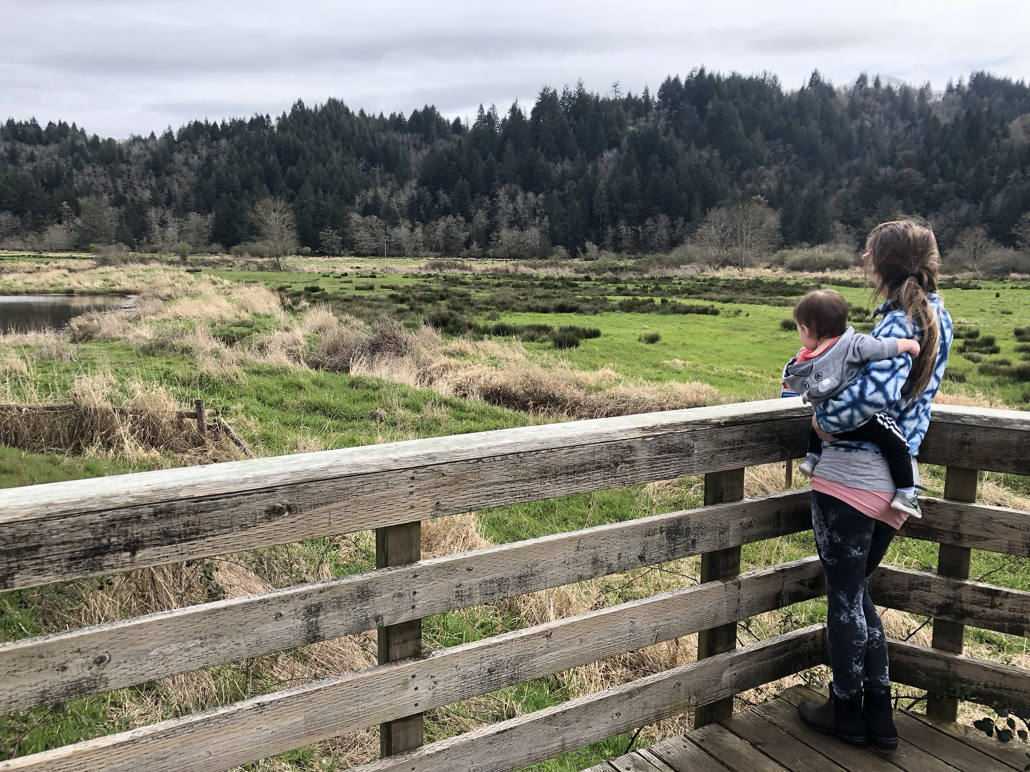 Dean Creek Elk Viewing Area photo 2
