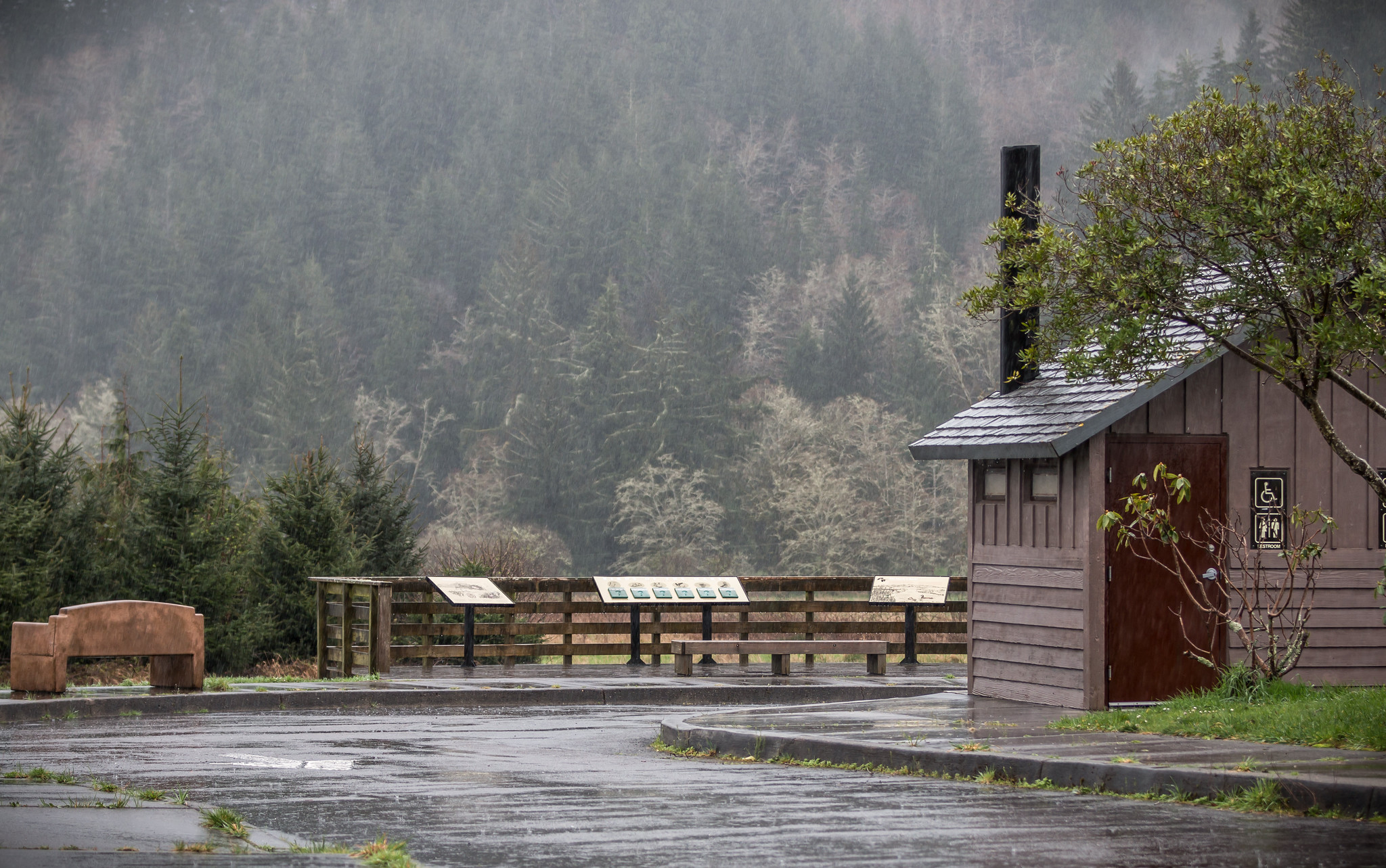 Dean Creek Elk Viewing Area photo 3