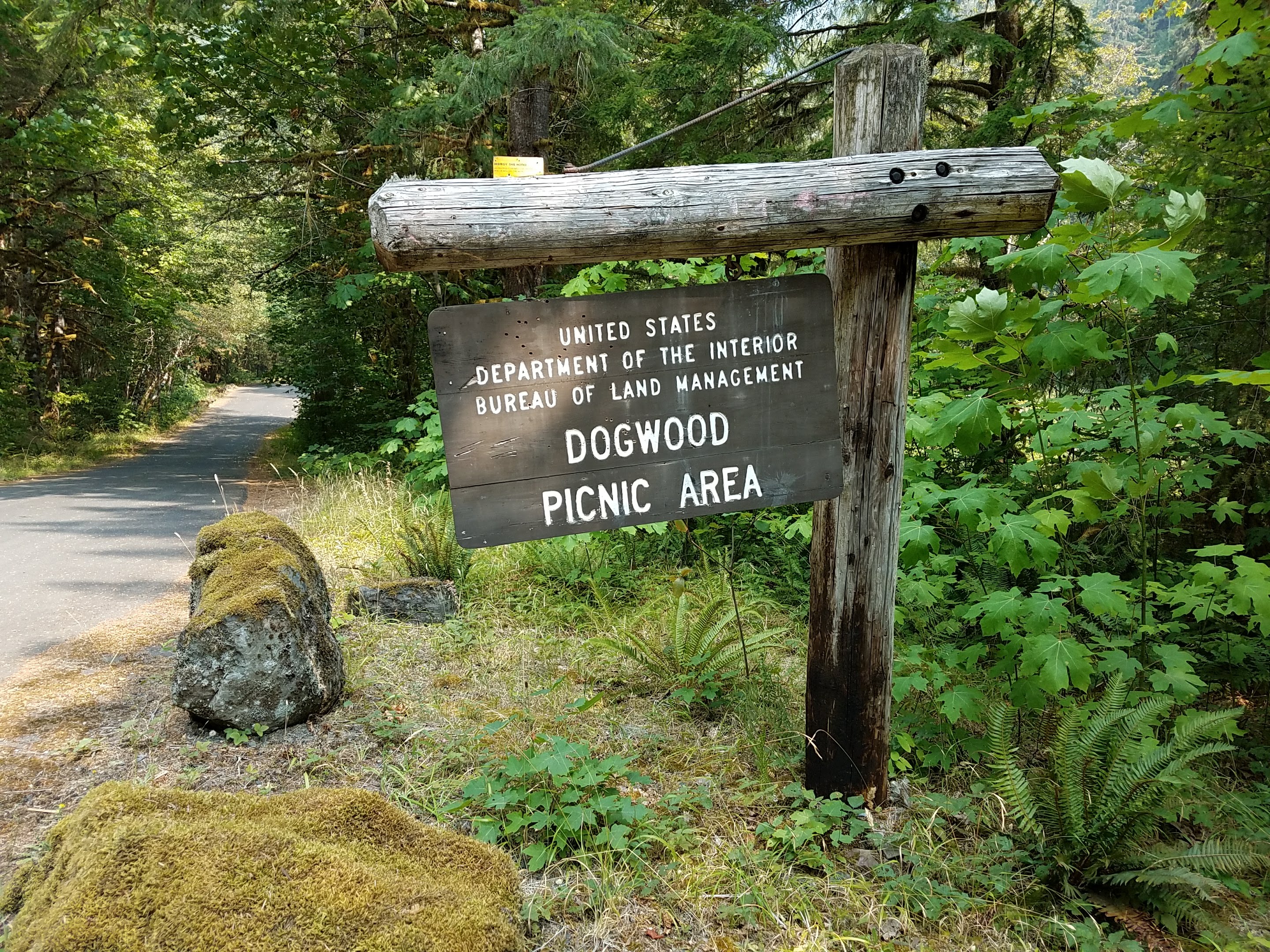 Dogwood Picnic Area photo
