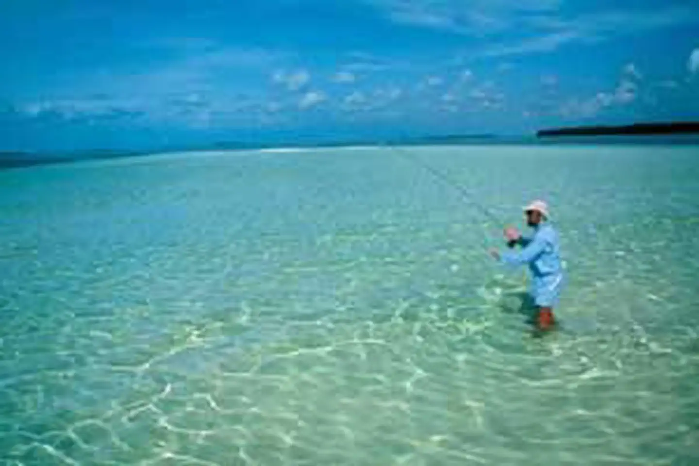 Florida Keys Wilderness photo