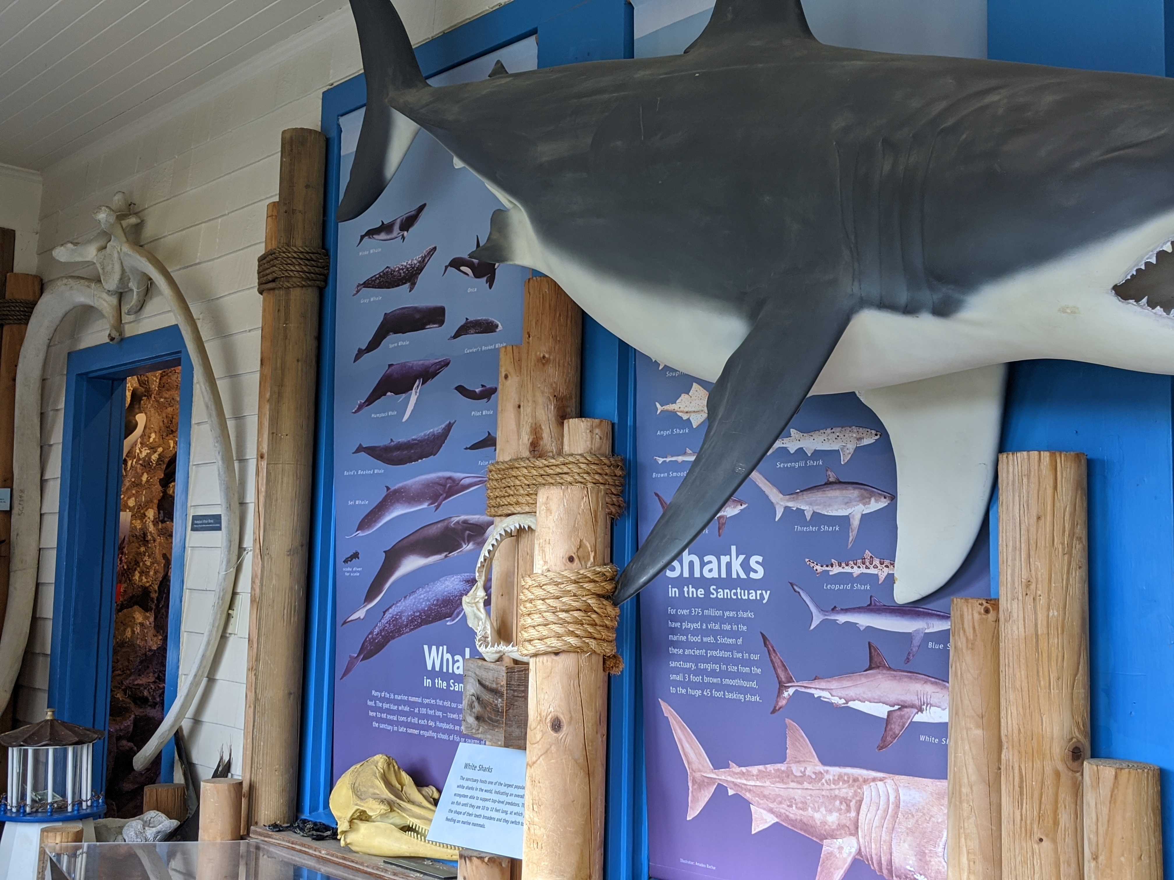 Greater Farallones and Cordell Bank Visitor Center photo 2