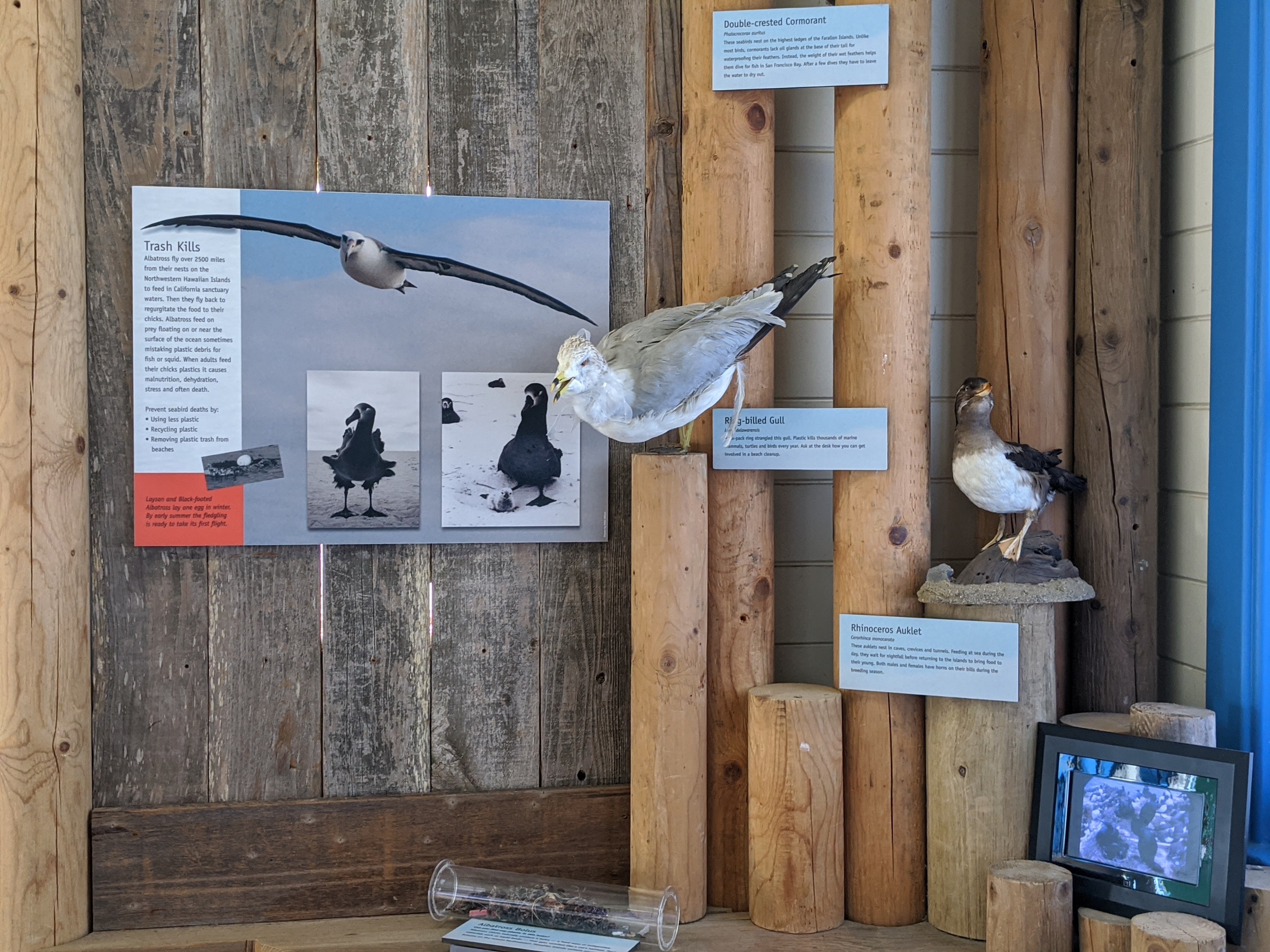 Greater Farallones and Cordell Bank Visitor Center photo 3