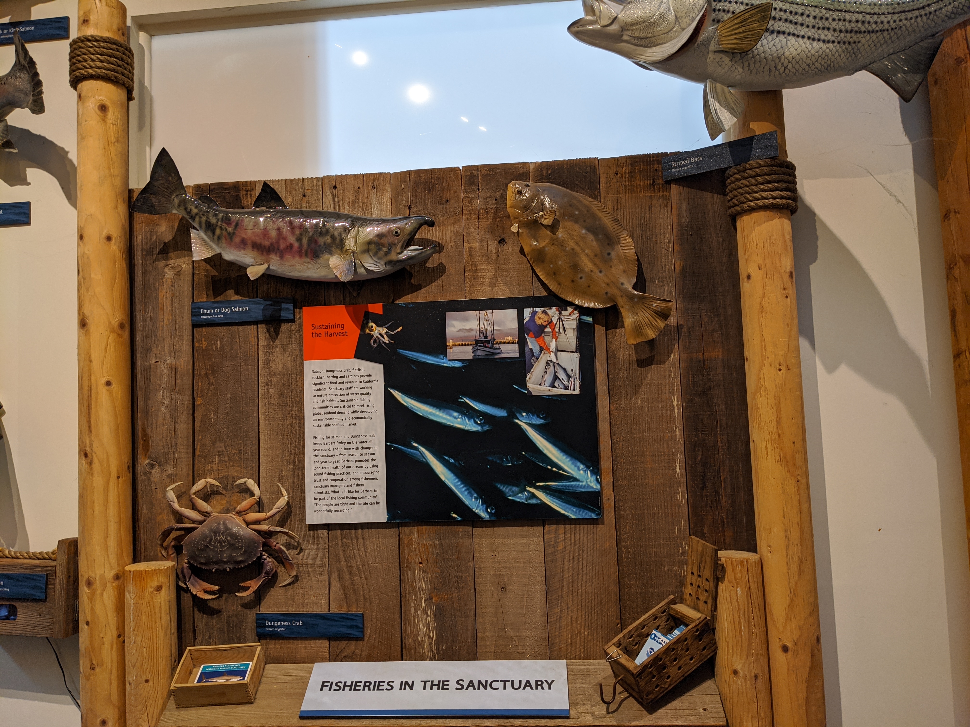 Greater Farallones and Cordell Bank Visitor Center photo 5