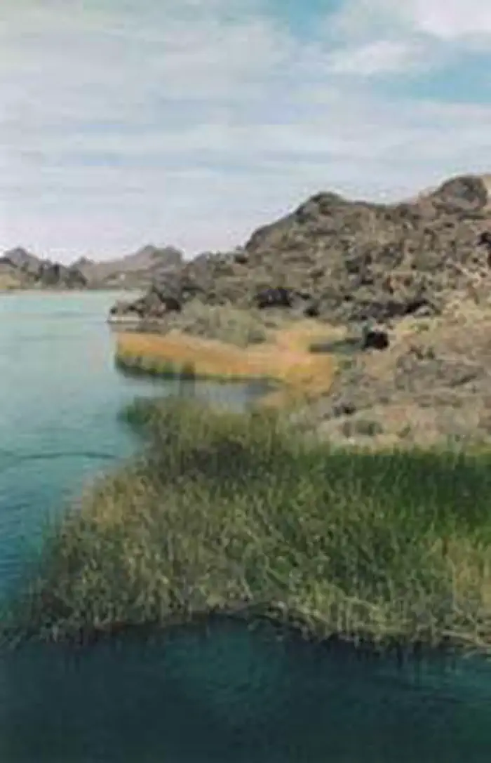 Havasu Wilderness photo